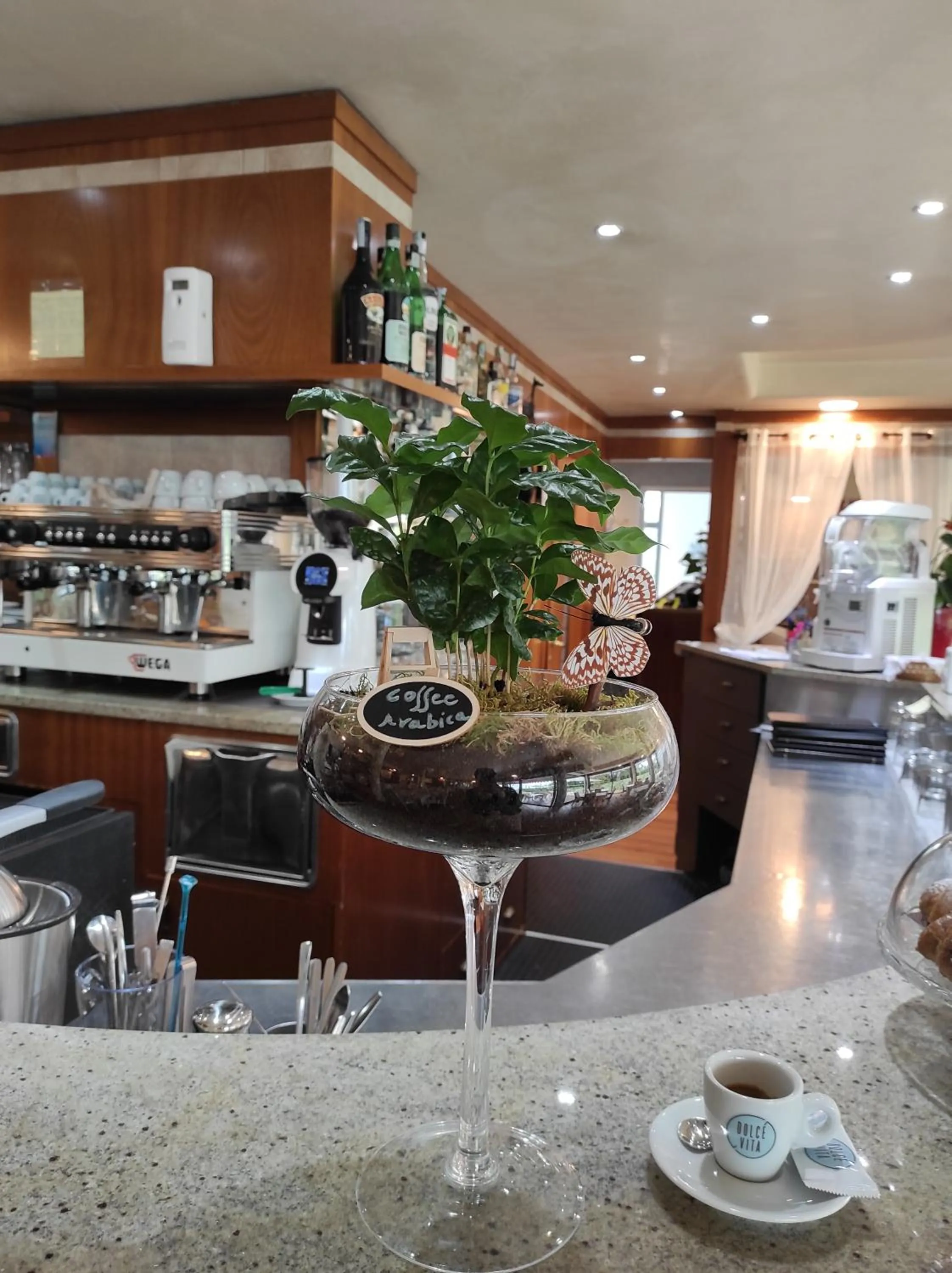 Restaurant/places to eat in Yachting Hotel Mistral