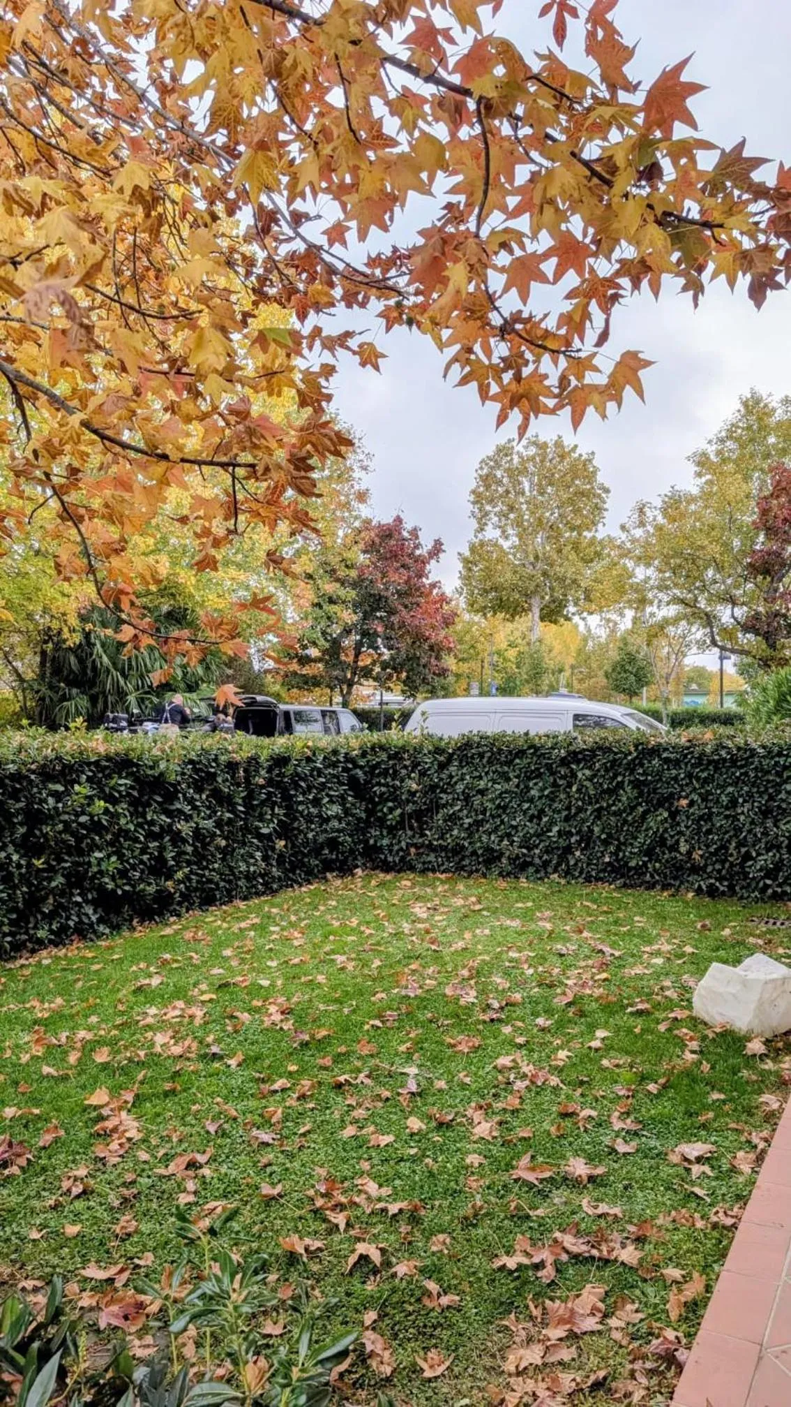 Yachting Hotel Mistral