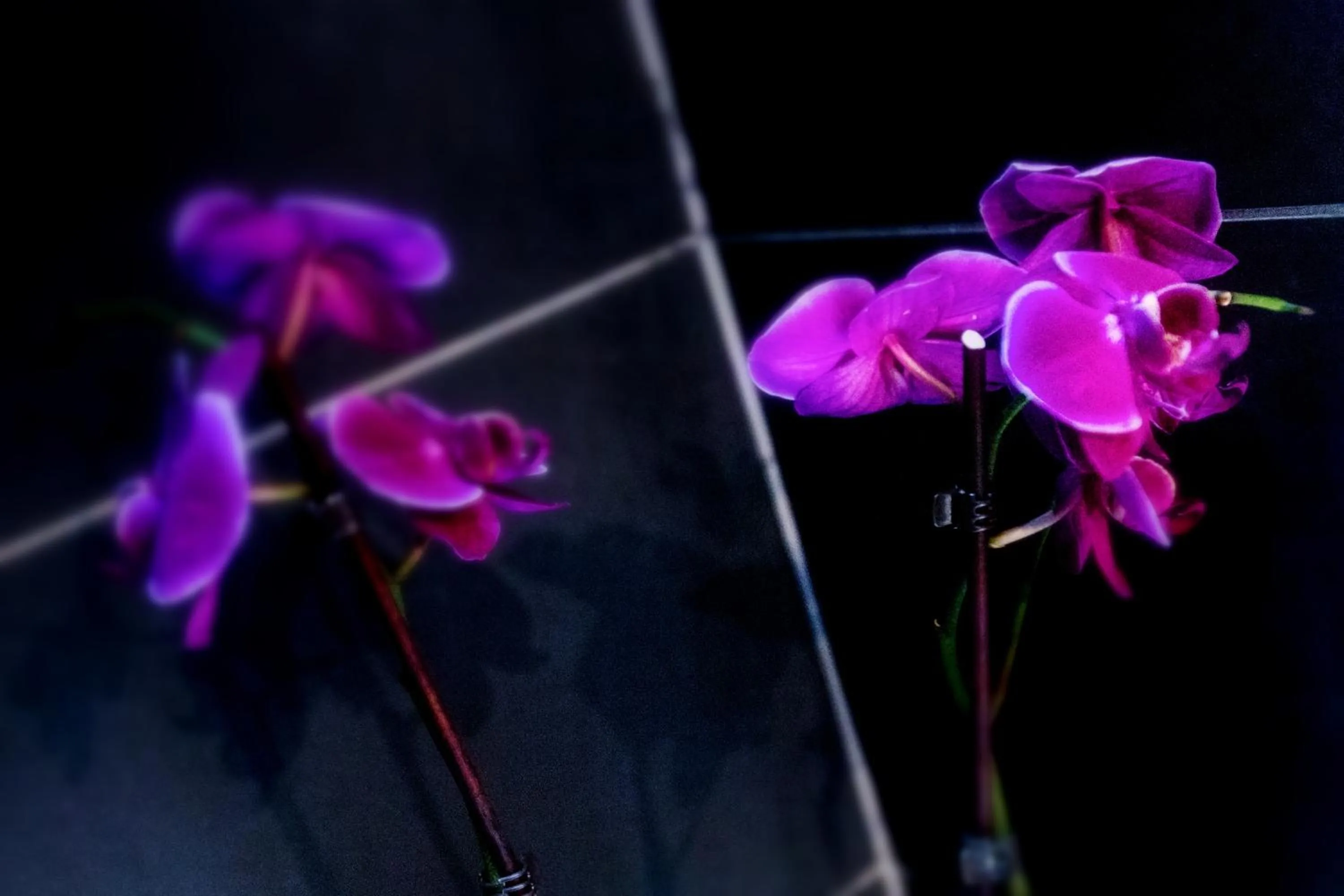 Logo/Certificate/Sign in Hotel Gabriella