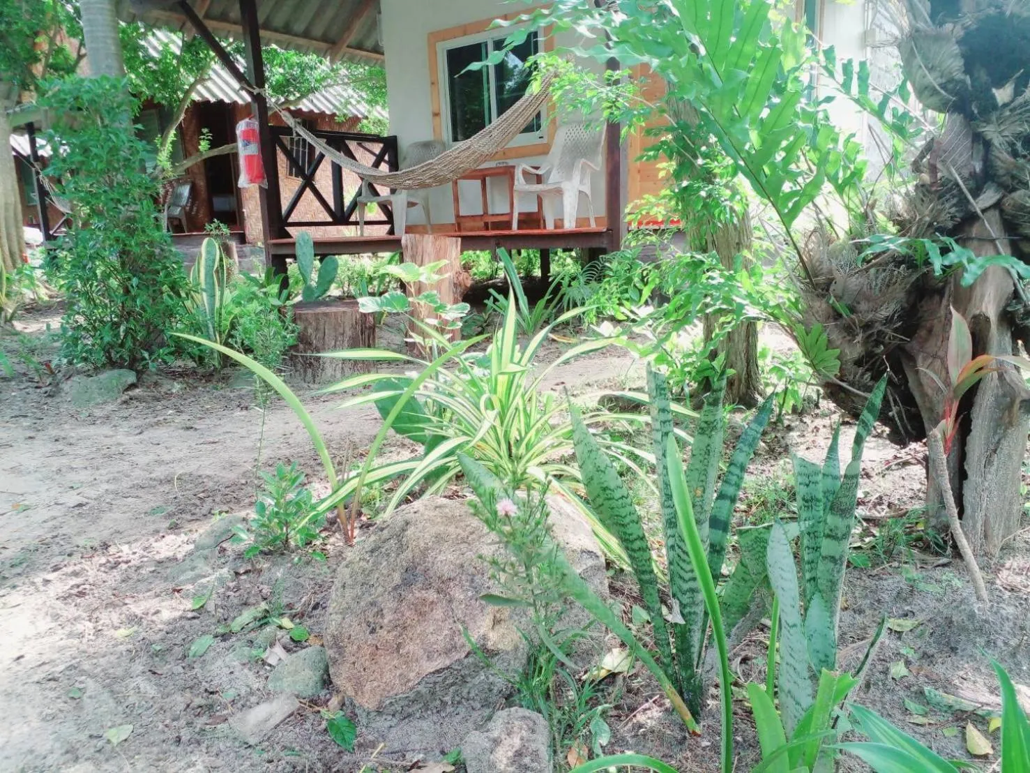 Garden view in Lipe Garden Beach Resort