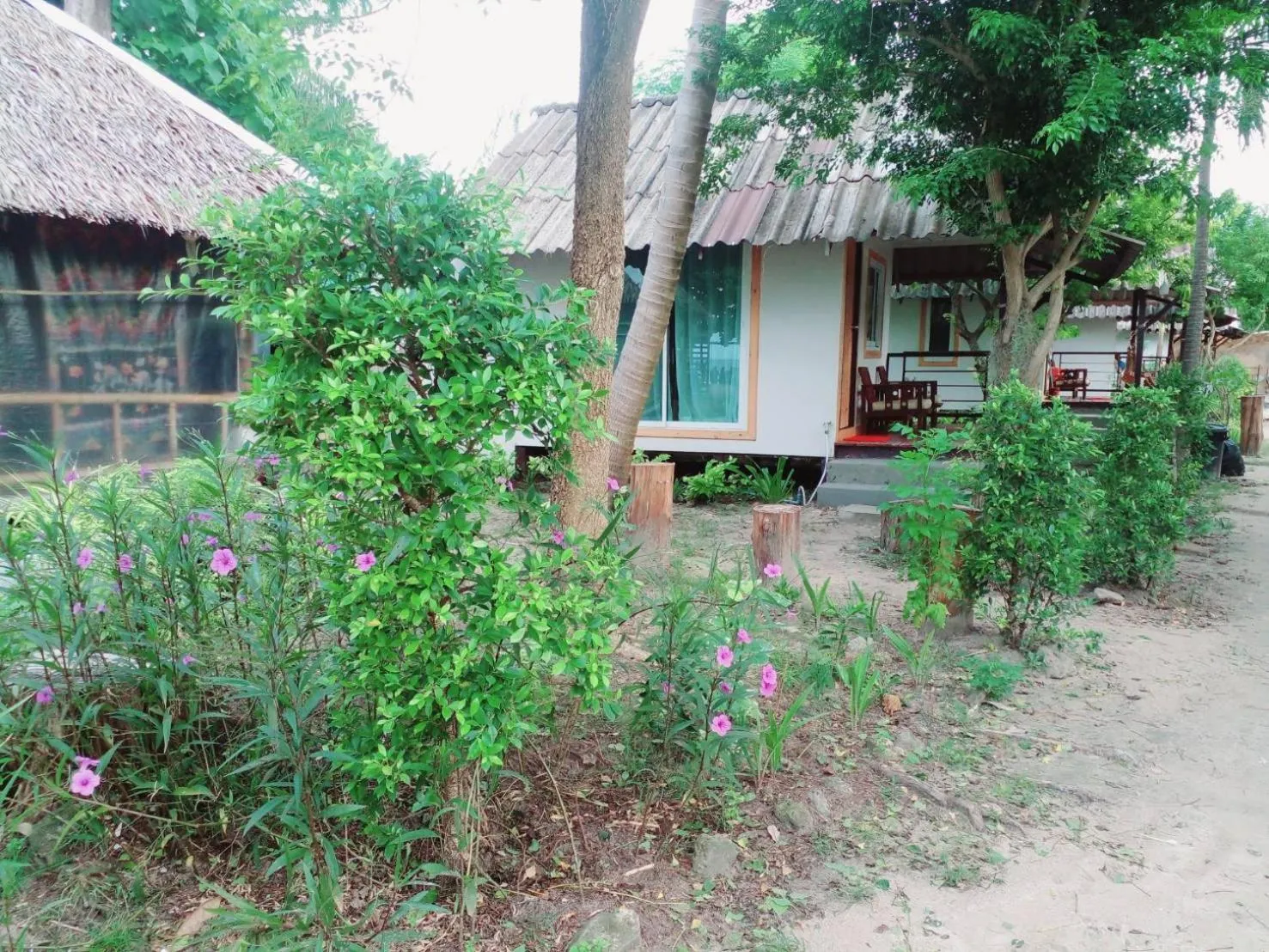 Garden view in Lipe Garden Beach Resort