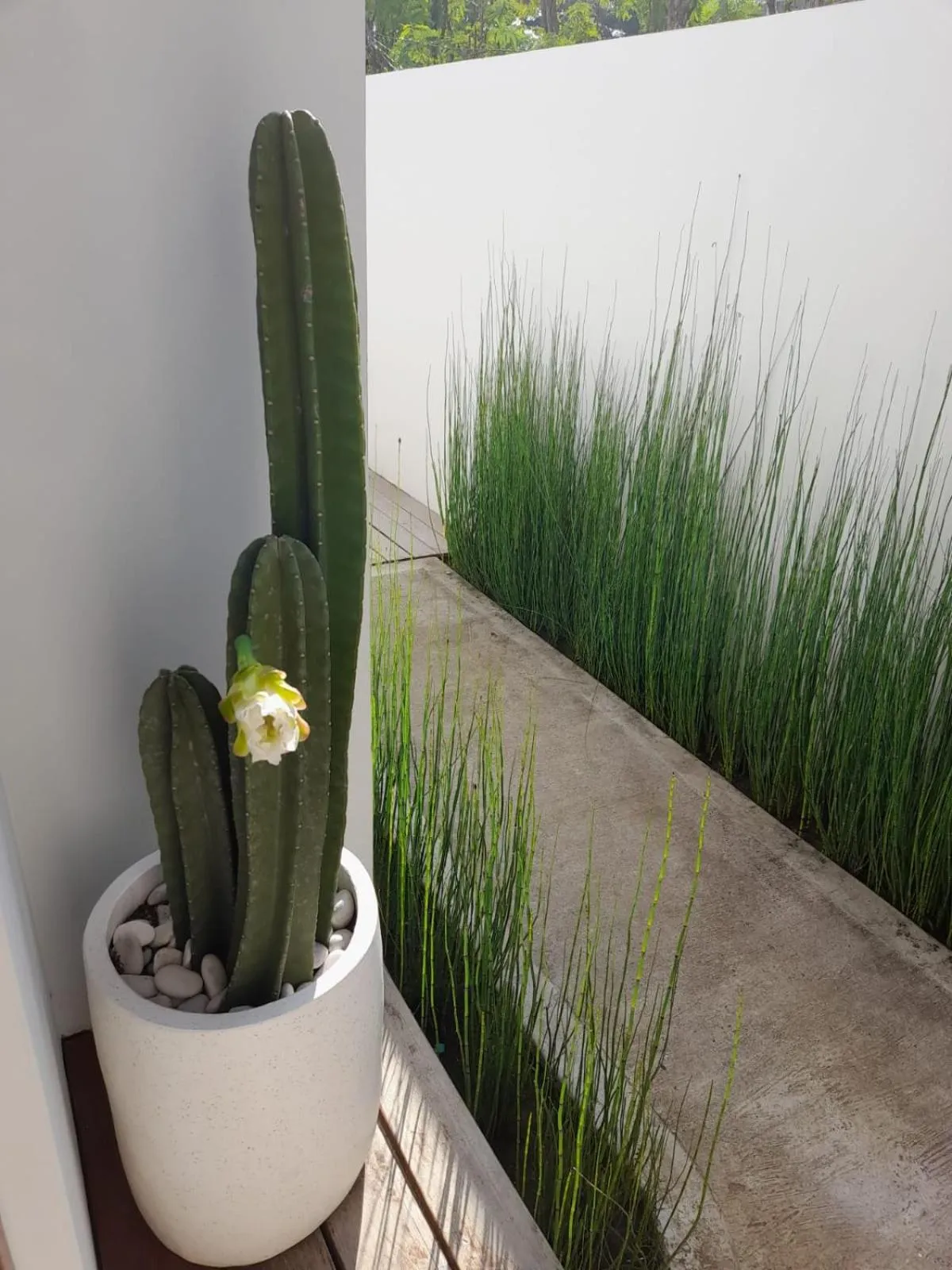 Property building in Adults-Only Luxury Studio Private Pool & Free Gym