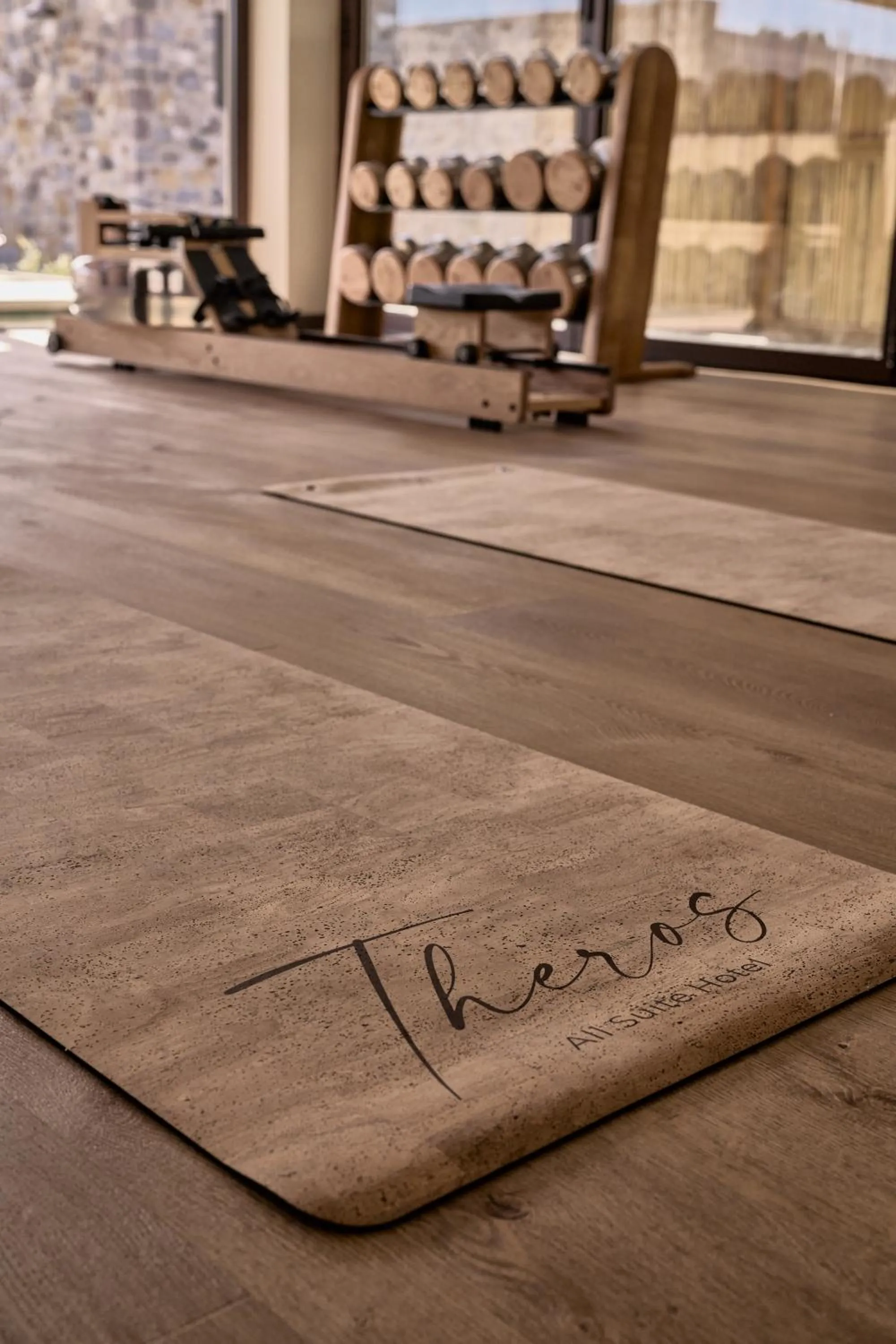 Fitness centre/facilities in Theros All Suite Hotel - Adults Only