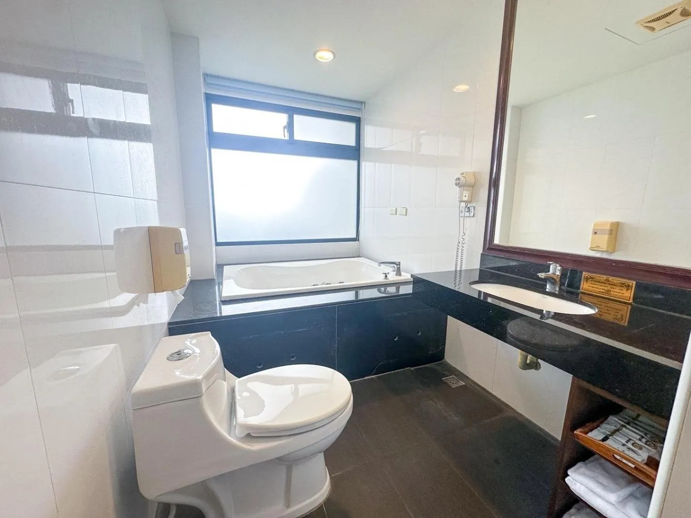 Toilet in Fair Tale Motel - Sea