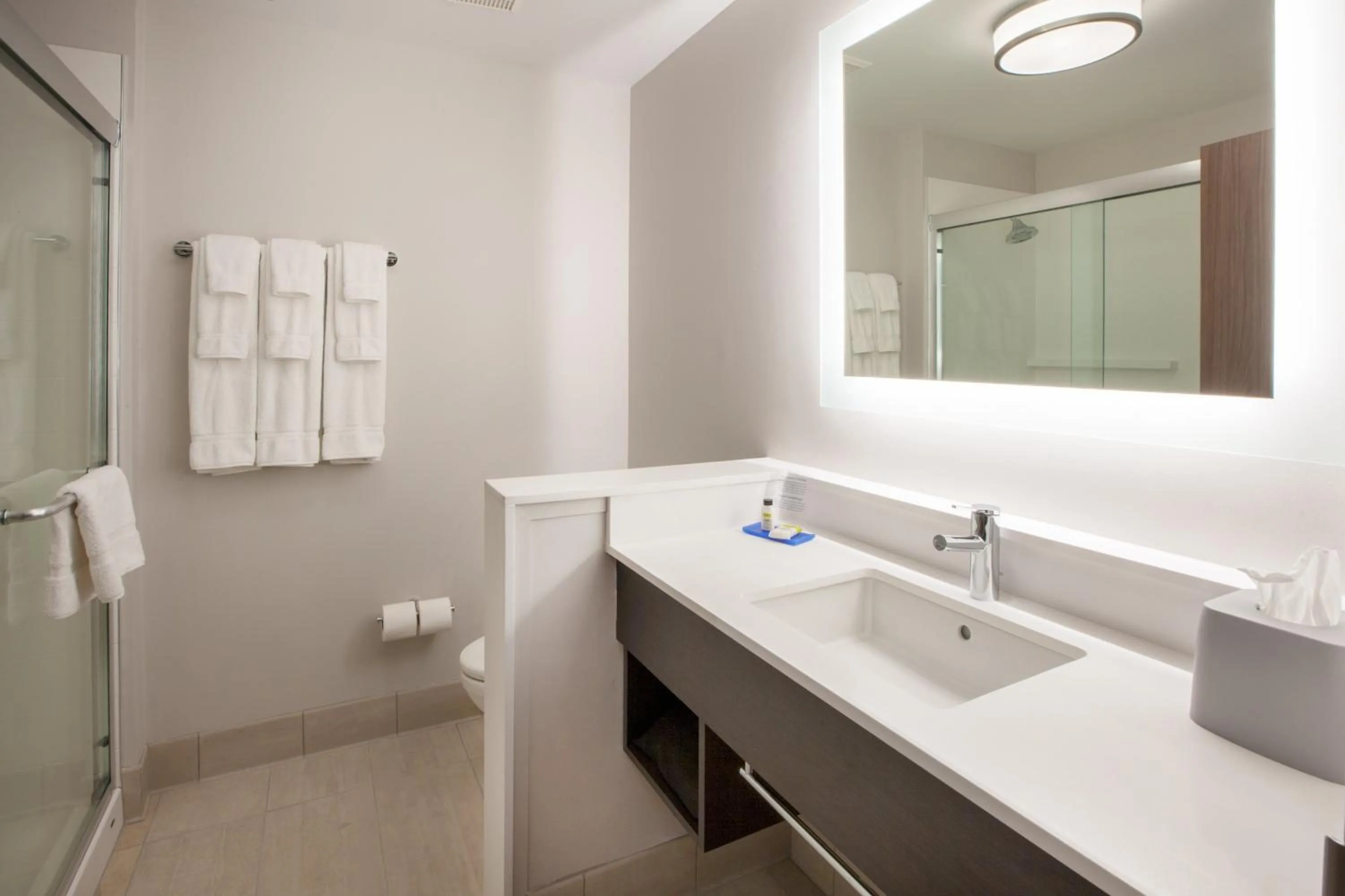 Bathroom in Holiday Inn Express & Suites - Jacksonville-Camp LeJeune Area by IHG