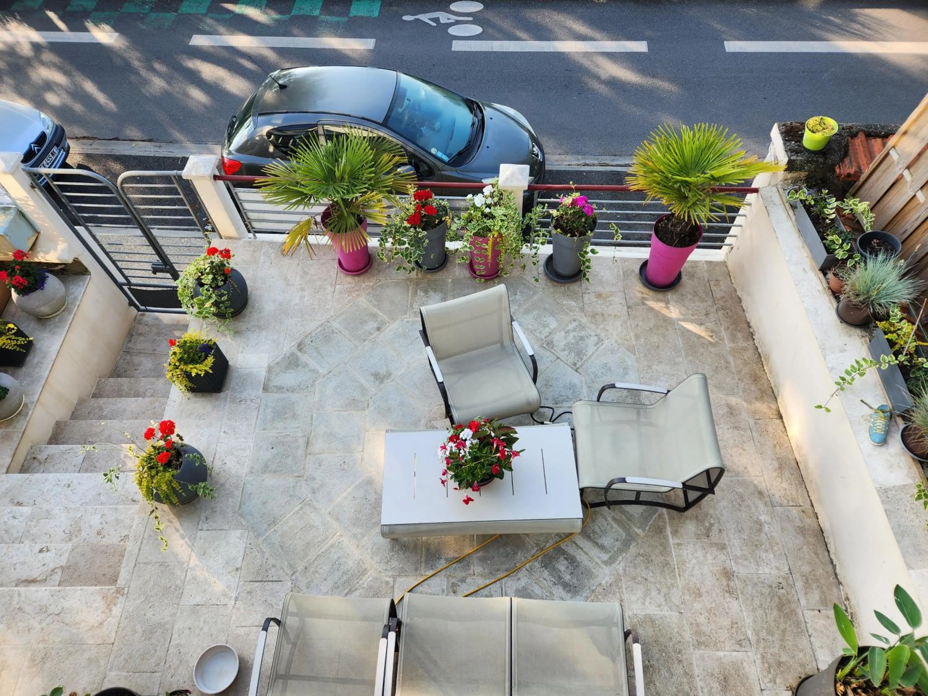 LES PINGOUINS DE LA MARNE