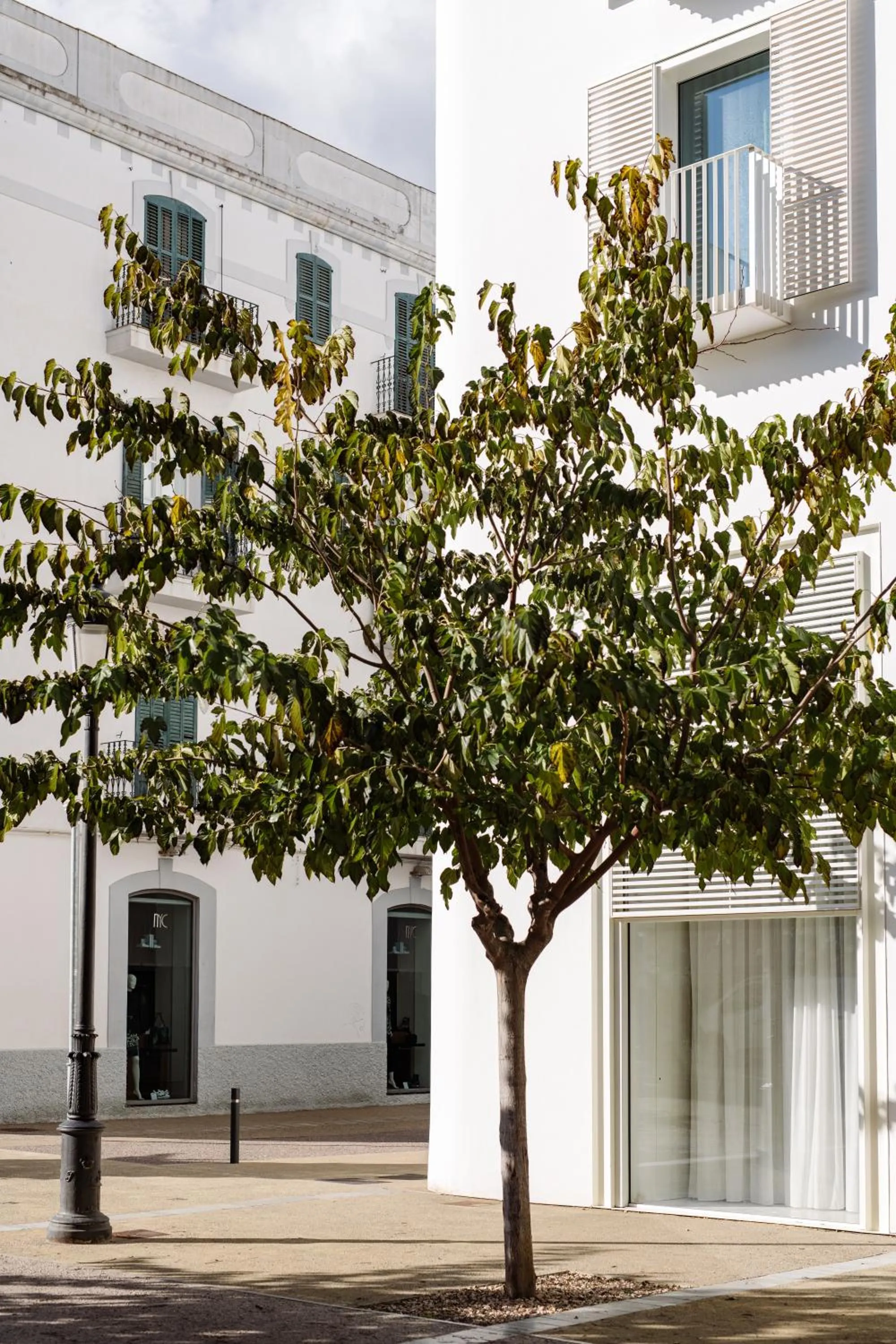 Property building in The Standard, Ibiza