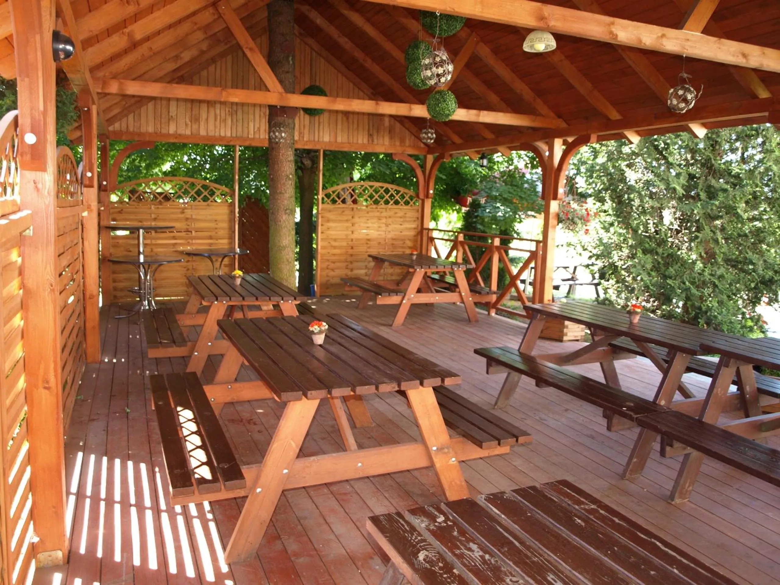 BBQ facilities in Hotel Irena