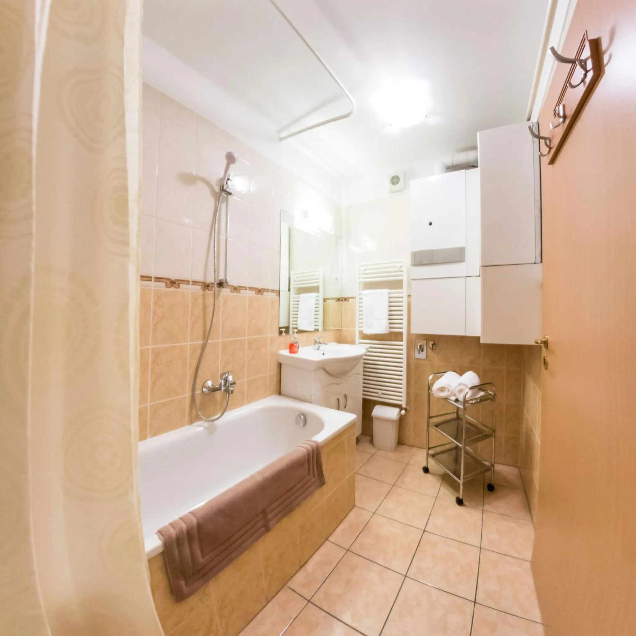 Bathroom in Arpad Bridge Apartments