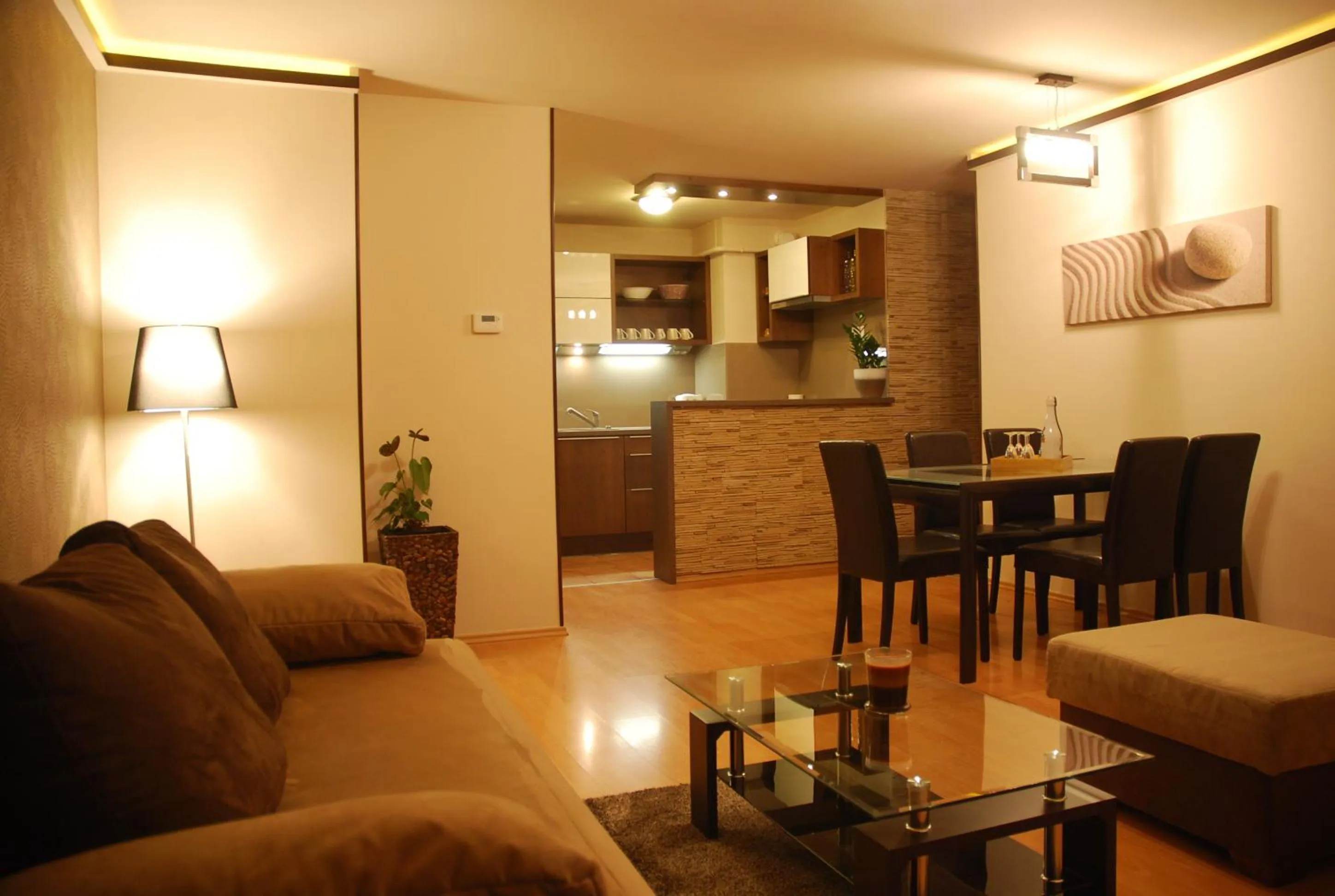 Living room in Arpad Bridge Apartments