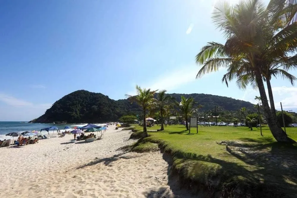 Beach in WINNER BEACH HOTEL