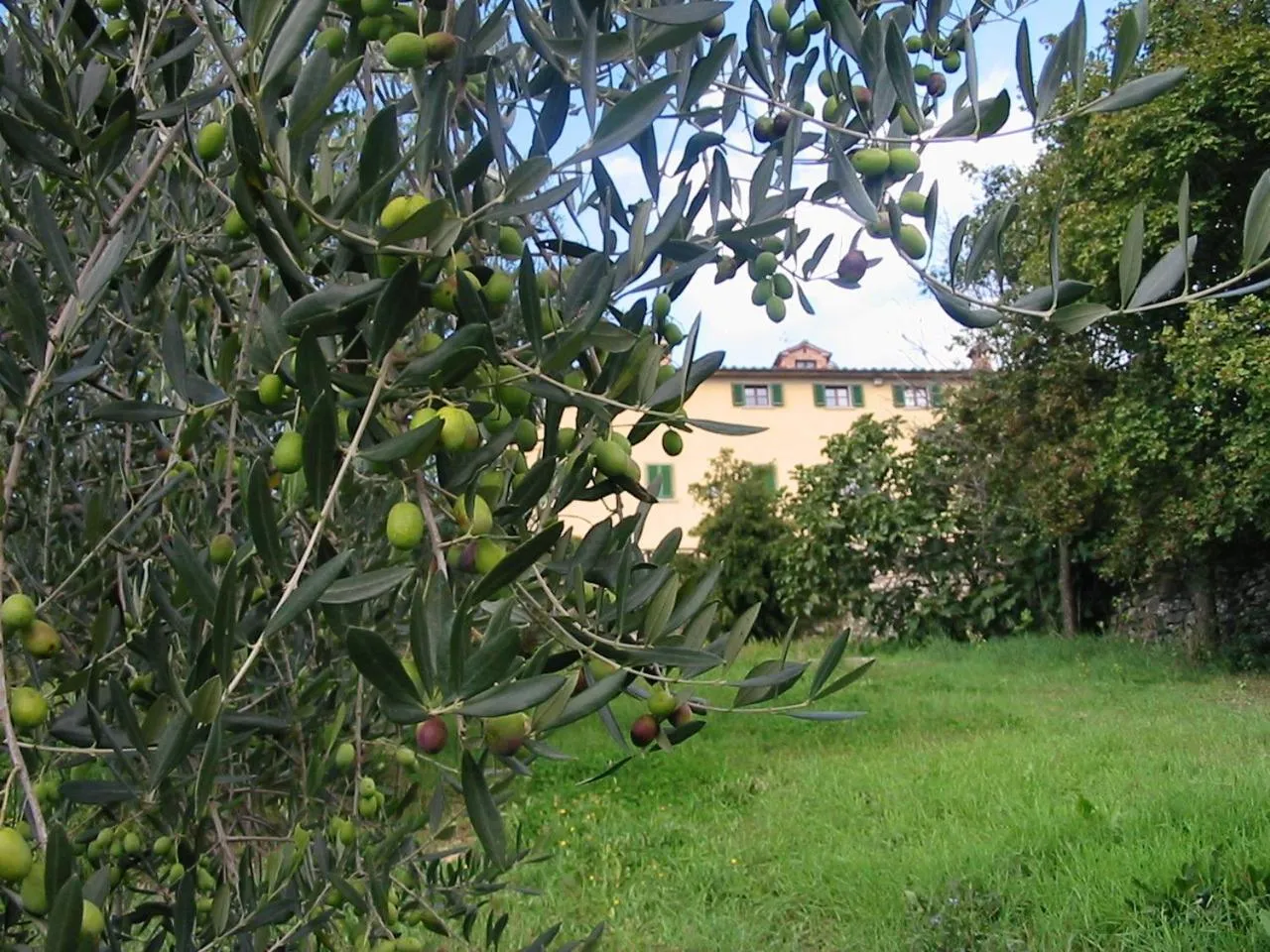Other in Hotel Relais Palazzo di Luglio