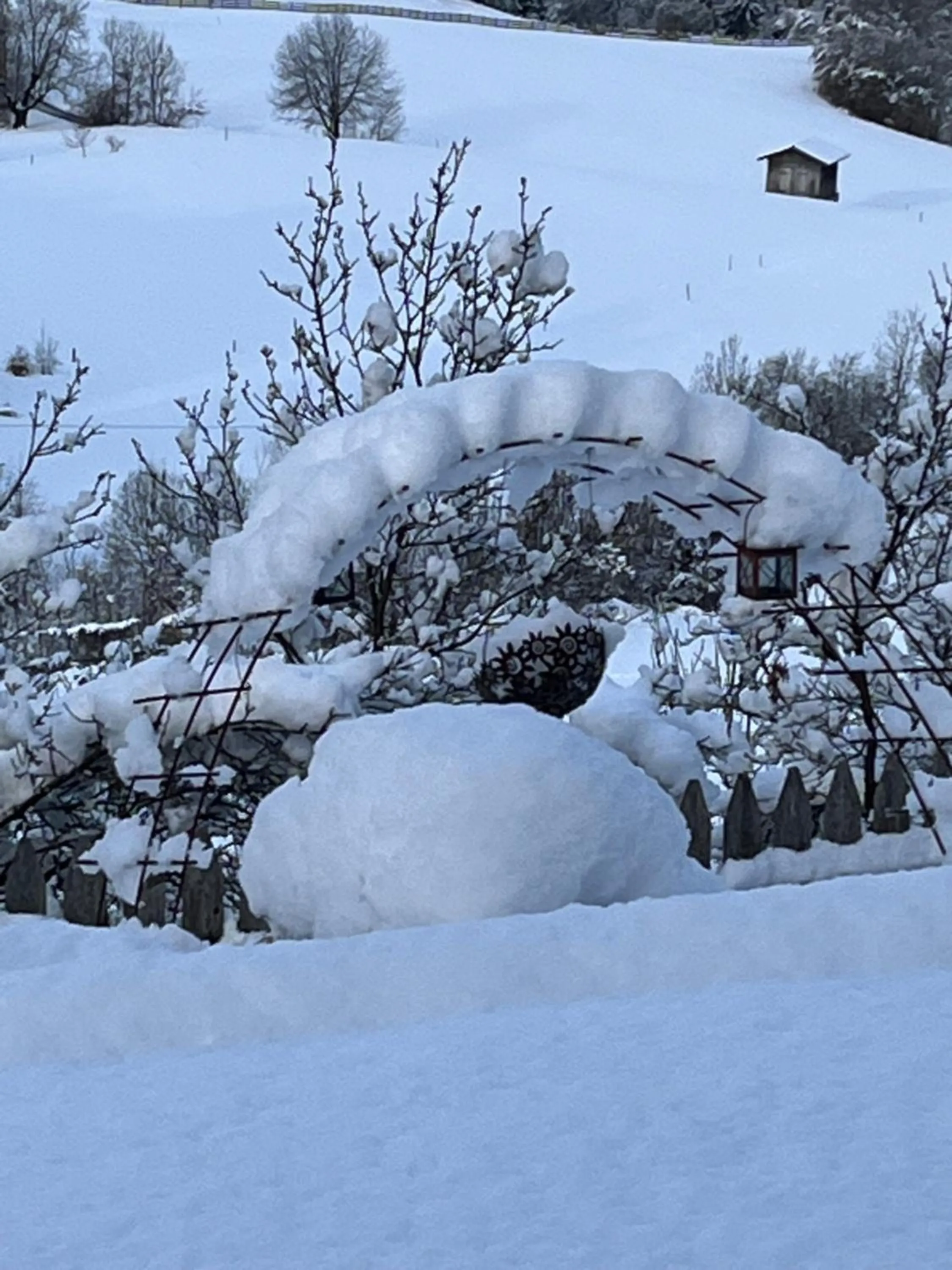 Winter in Residence Burghof