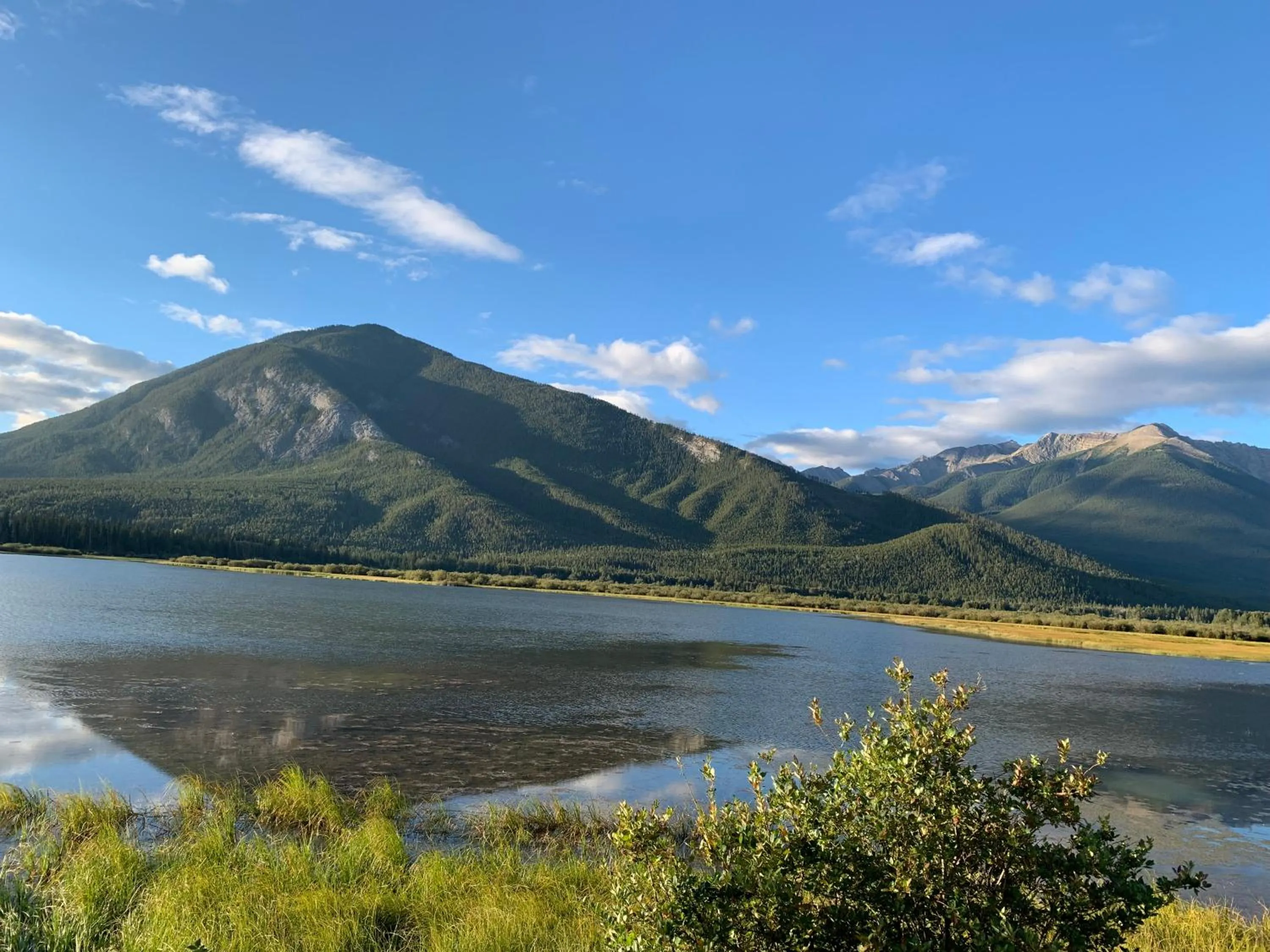 4 Bedrooms Suite Combo for Group of Families - Windtower Lodge