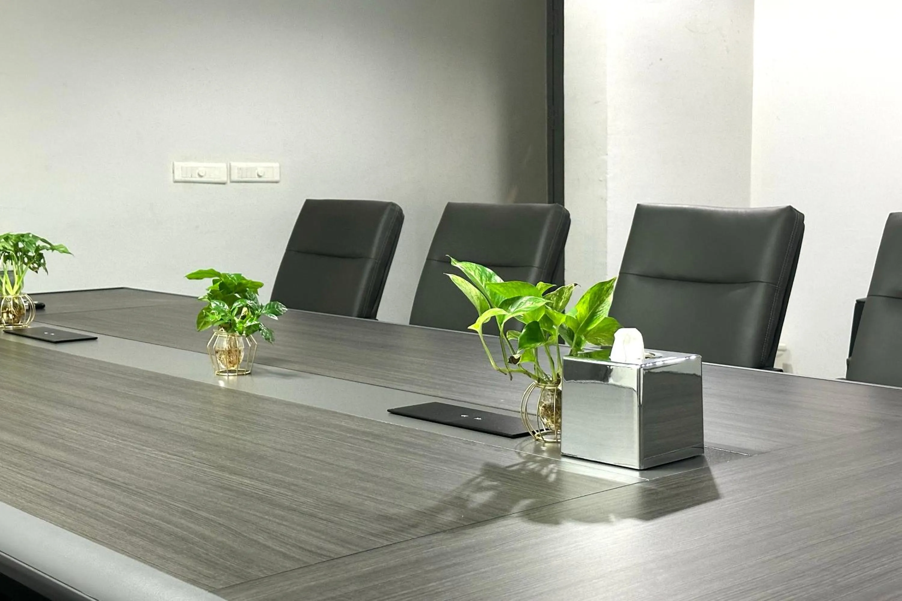 Meeting/conference room in Manhattan Business Hotel, Male