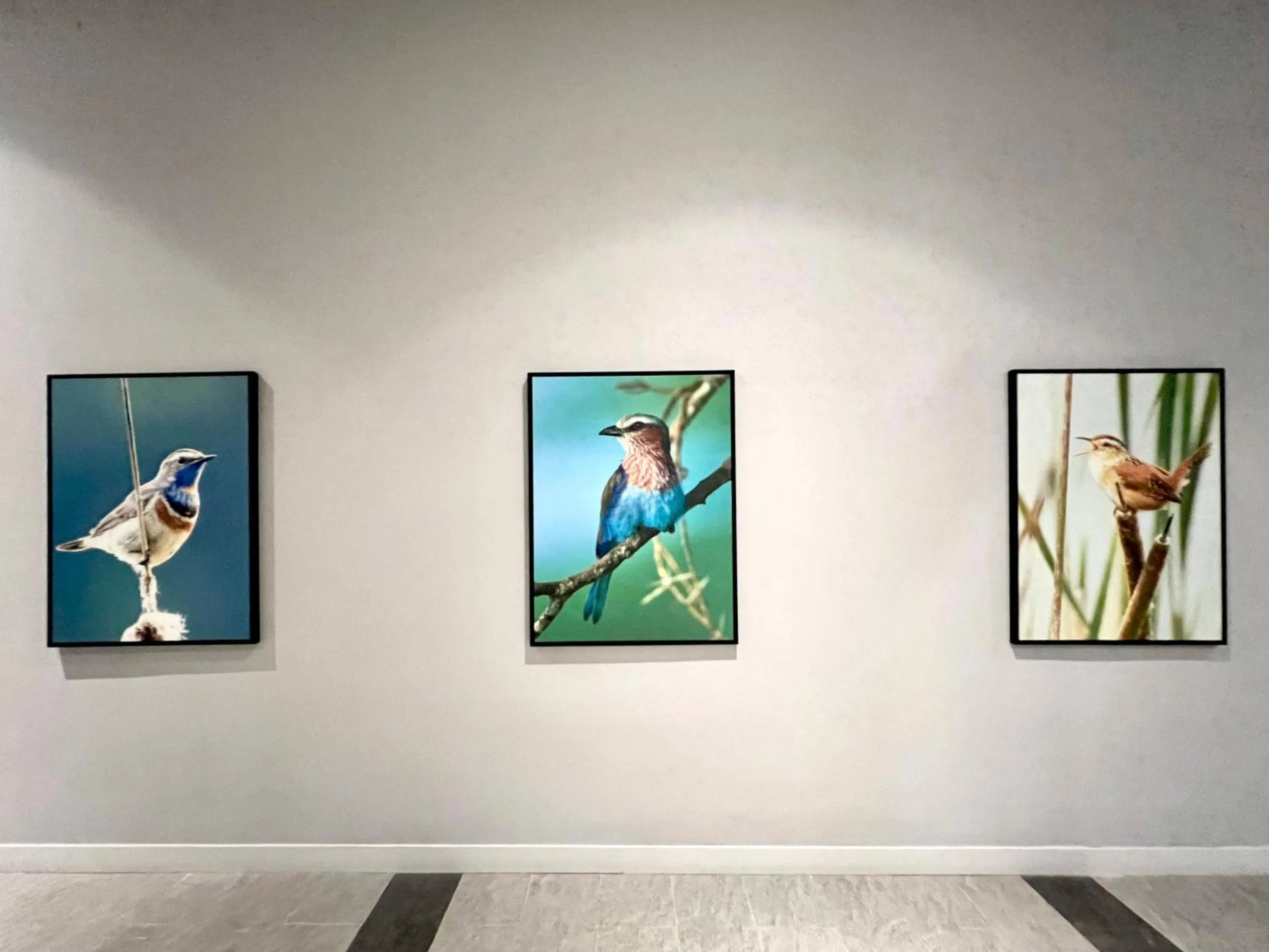 Decorative detail in Le Vert Boutique Hotel