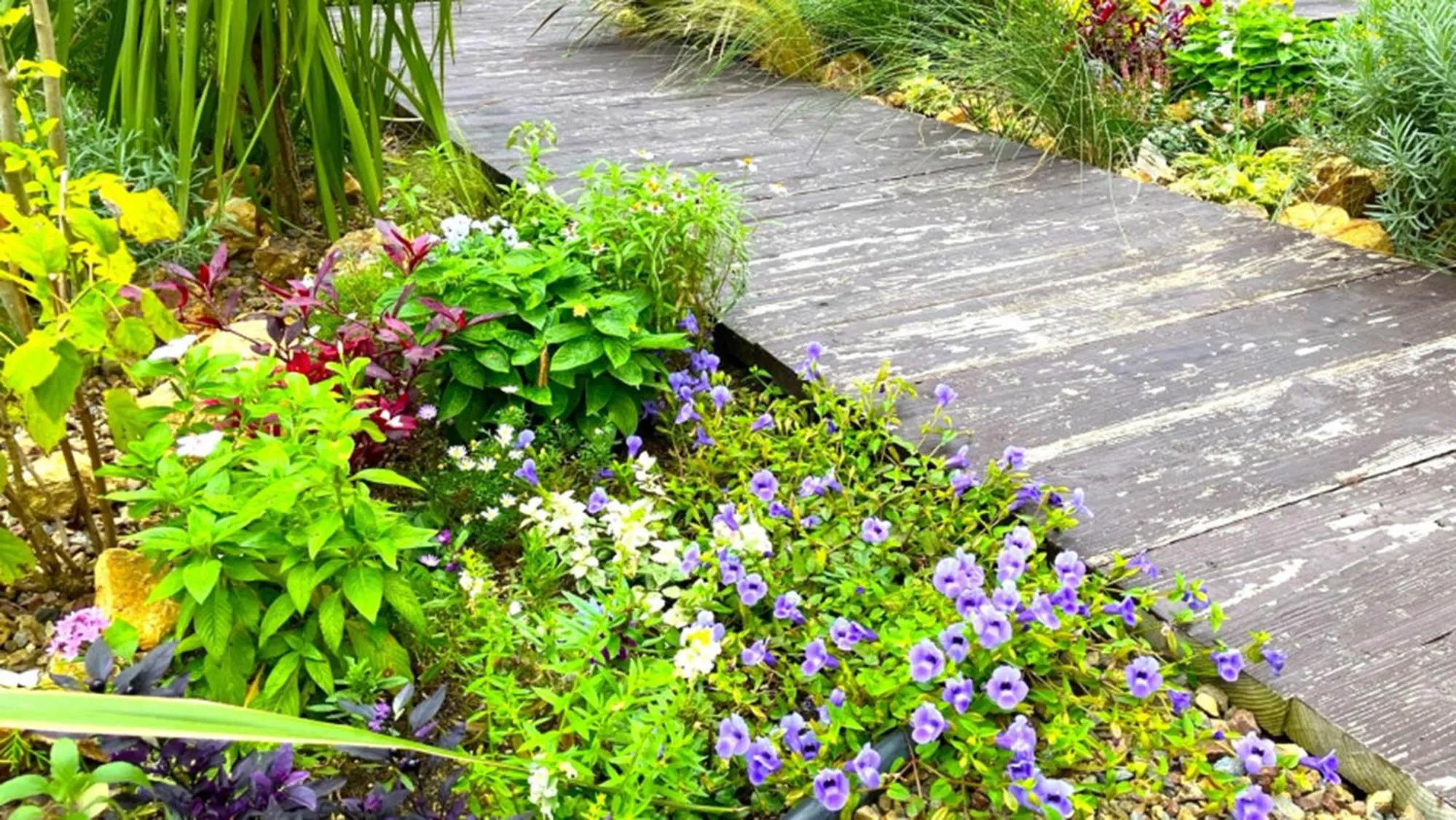 Off site in Toyoko Inn Takasaki eki Nishi guchi No 1