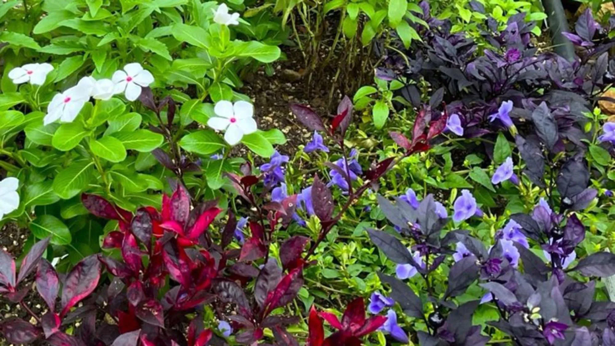 Facade/entrance in Toyoko Inn Takasaki eki Nishi guchi No 2