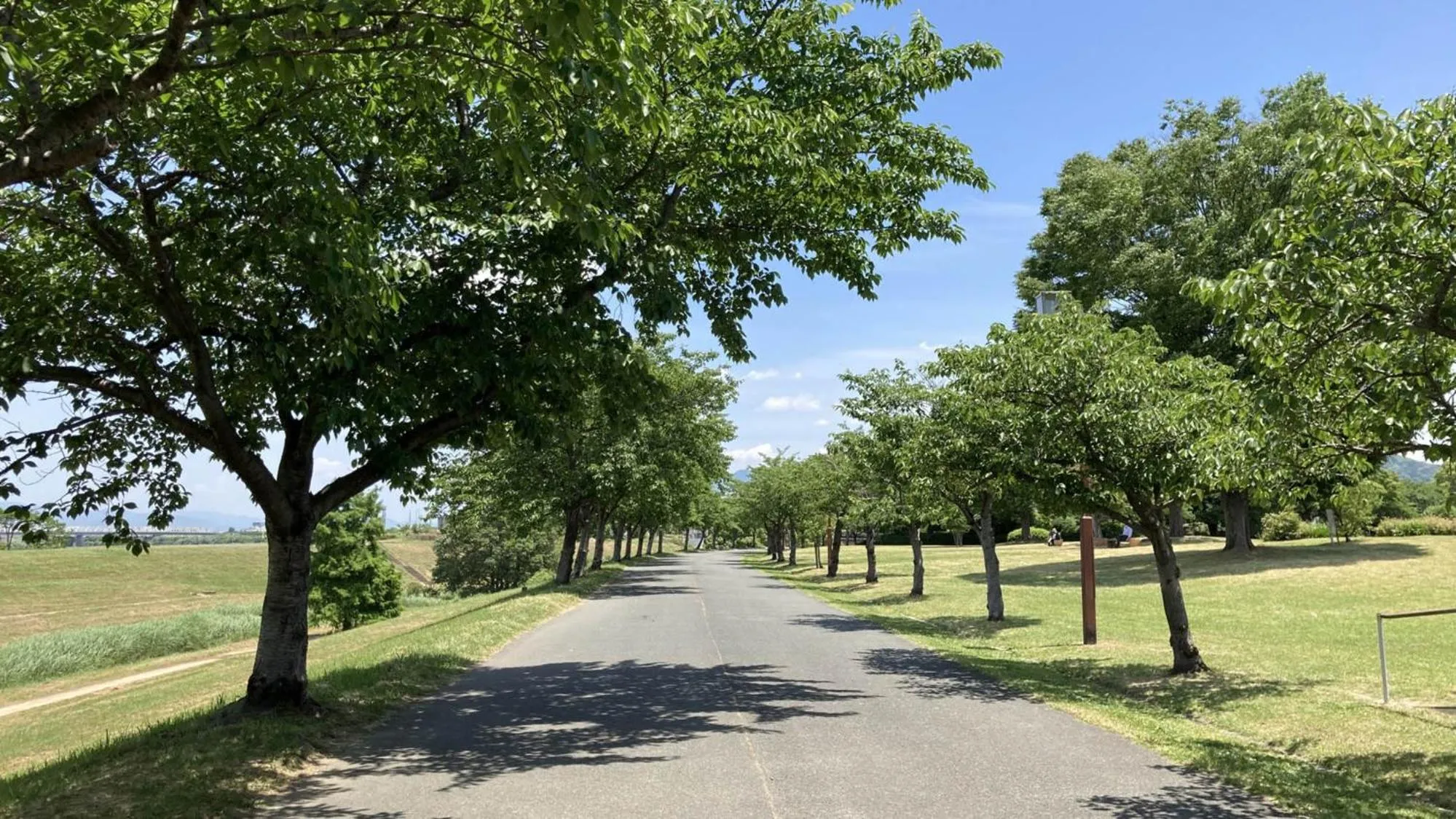 Nearby landmark in Toyoko Inn Nishitetsu Kurume eki Higashi guchi