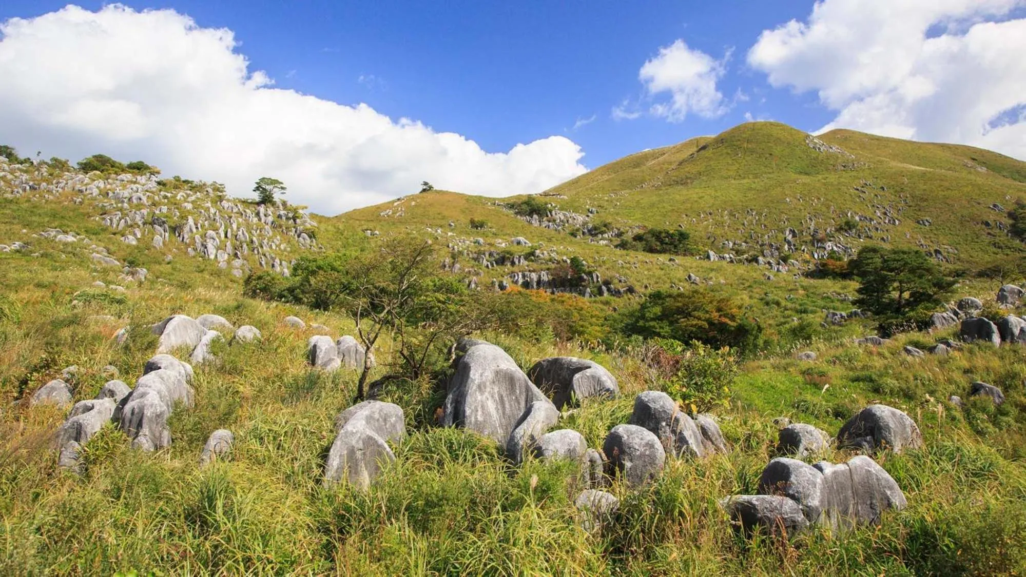 Nearby landmark in Toyoko Inn Kitakyushu Airport