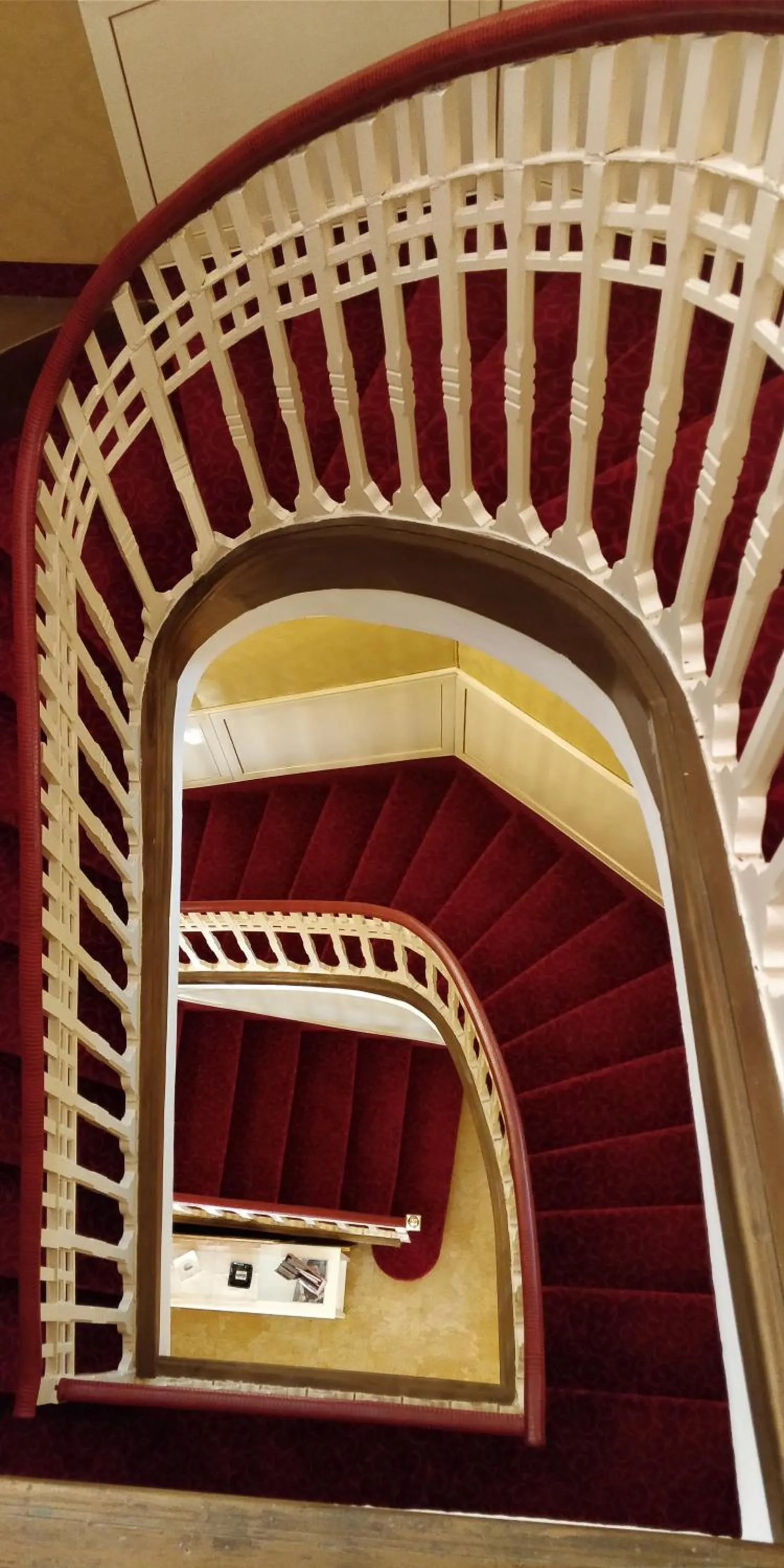 Area and facilities in Hotel Villa Delle Palme