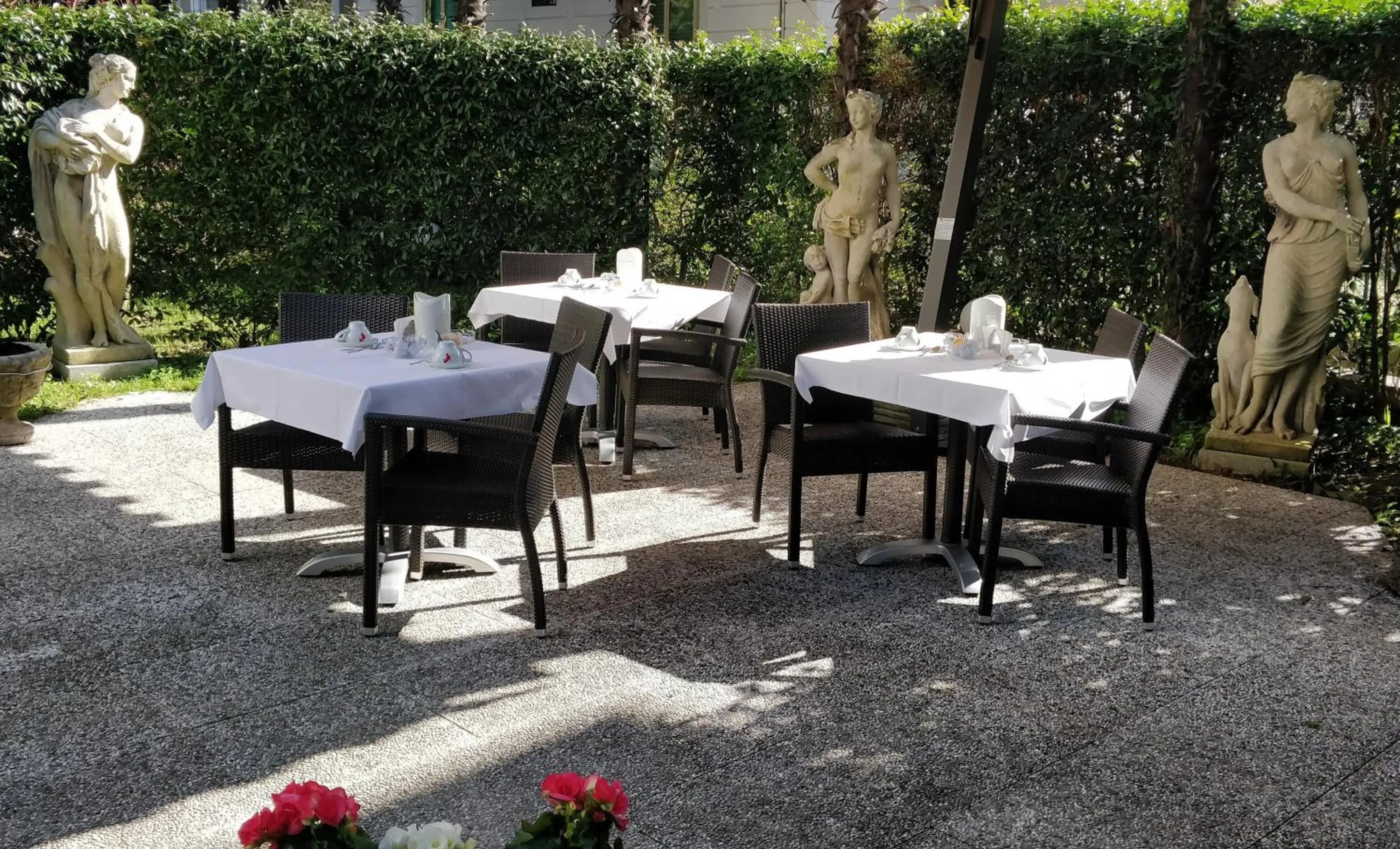 Garden in Hotel Villa Delle Palme