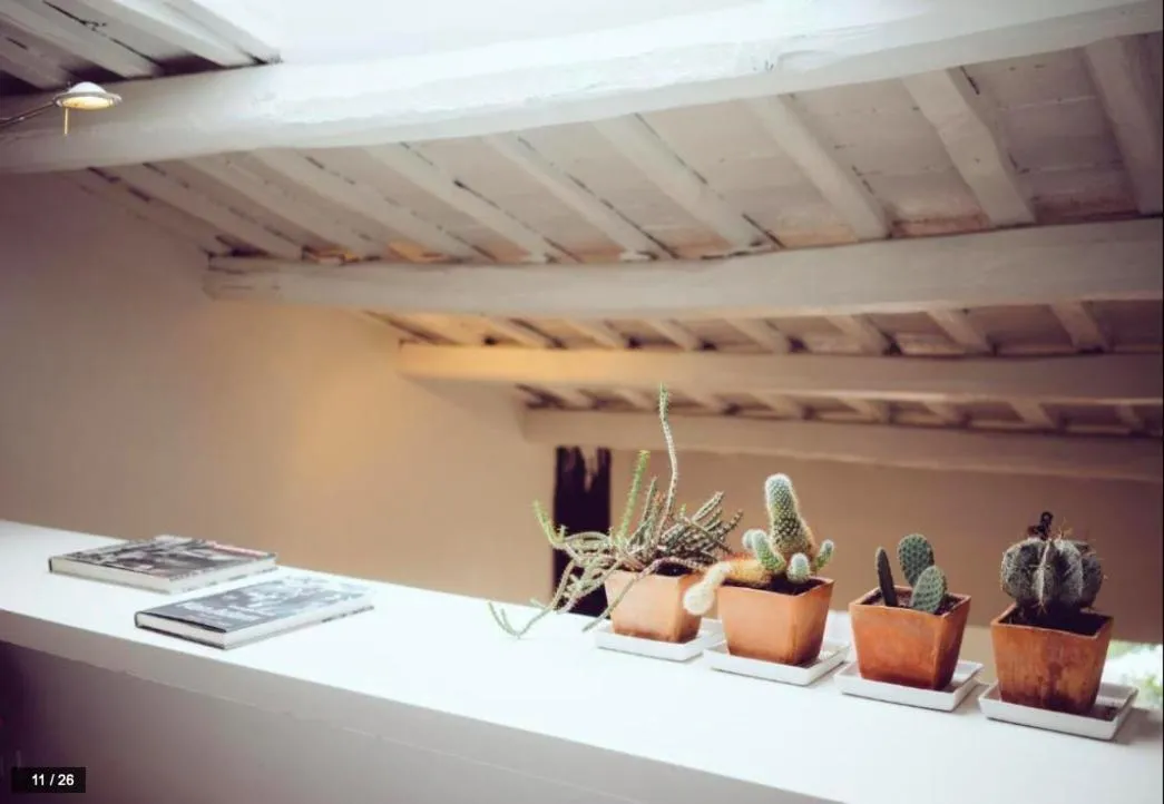 Luxury art apartment in Trastevere with terrace