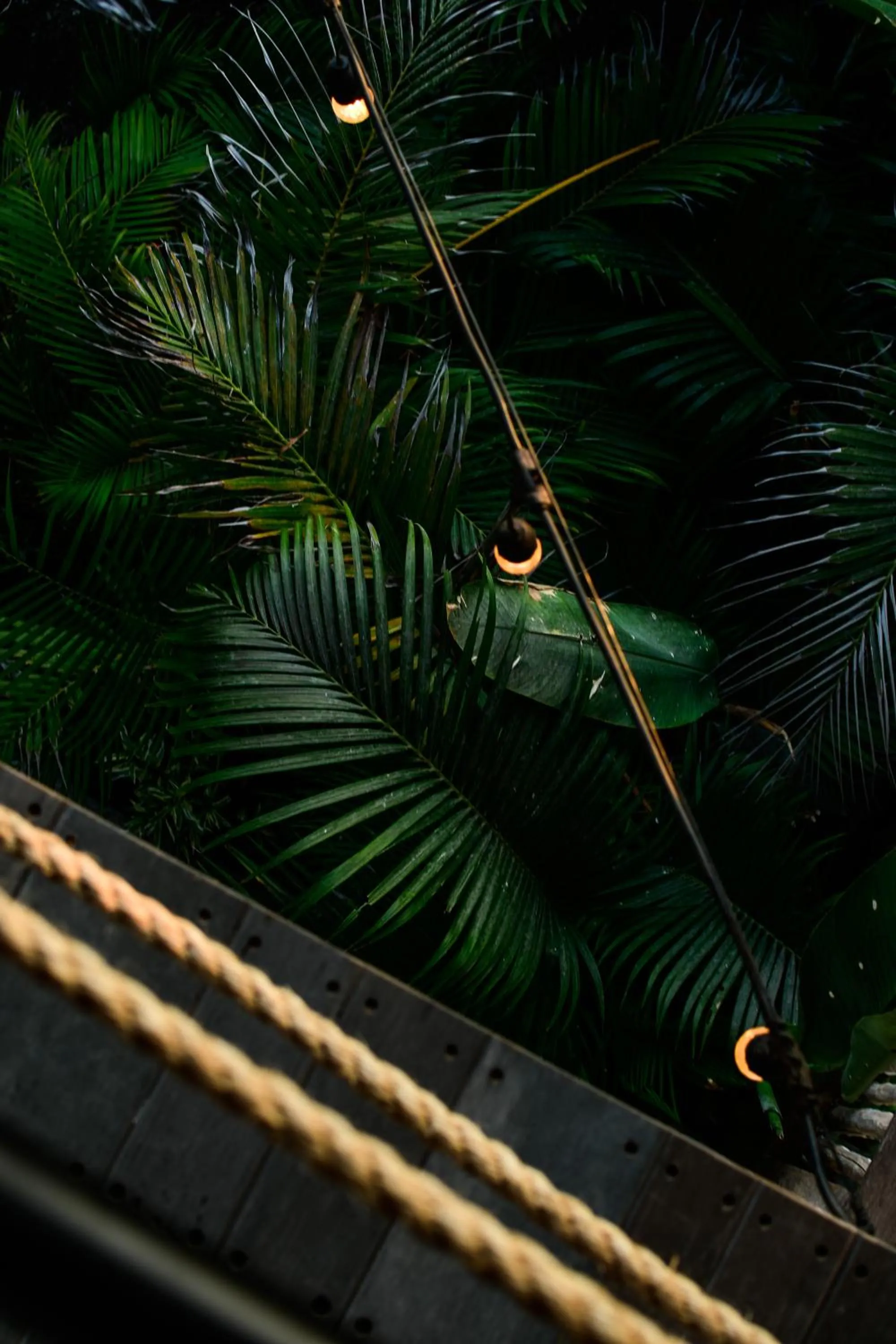 Garden in Salty Breeze Bali