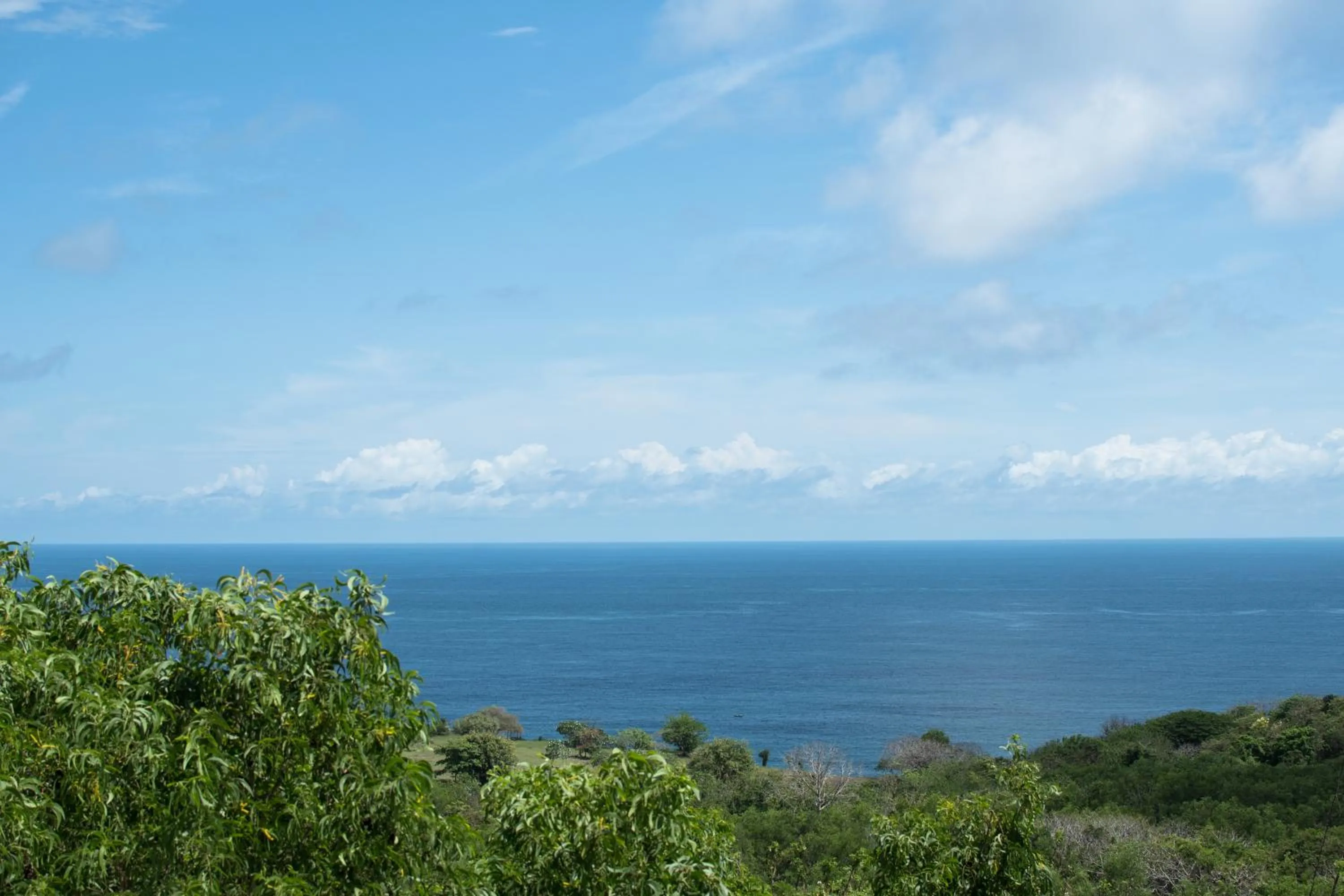 Natural landscape in Salty Breeze Bali