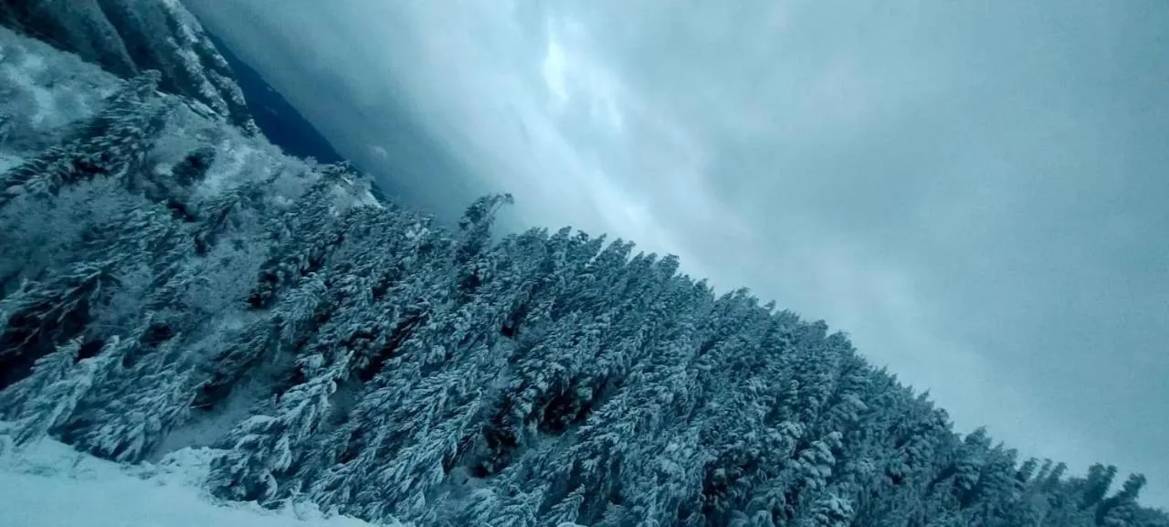 Property building in Jomotel Talai