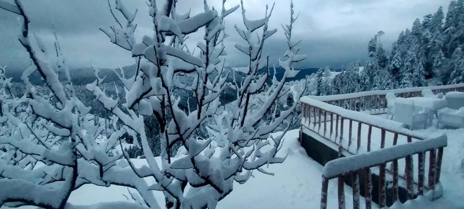 Property building in Jomotel Talai