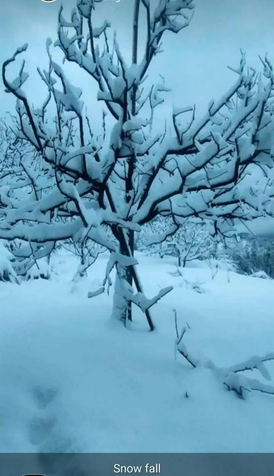 Property building in Jomotel Talai