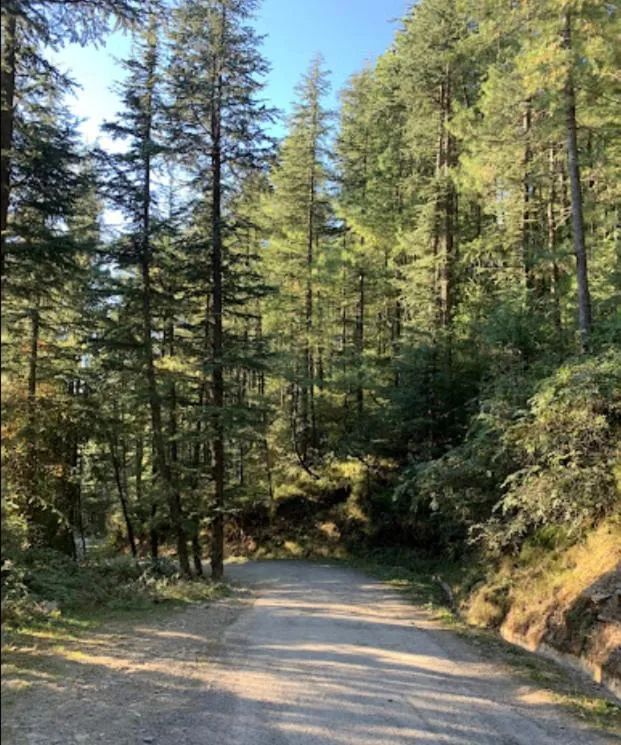 Natural landscape in Jomotel Talai