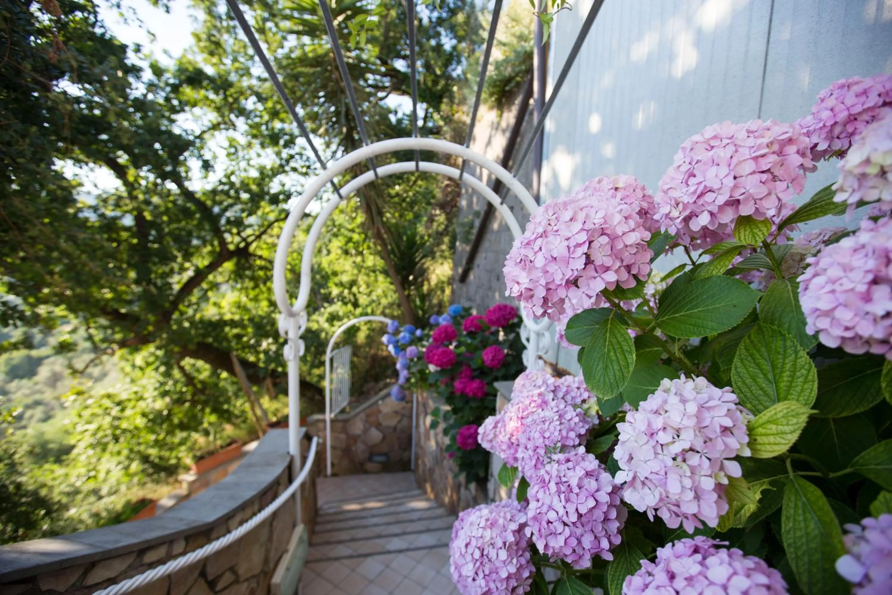 Spring in Residence Le Terrazze