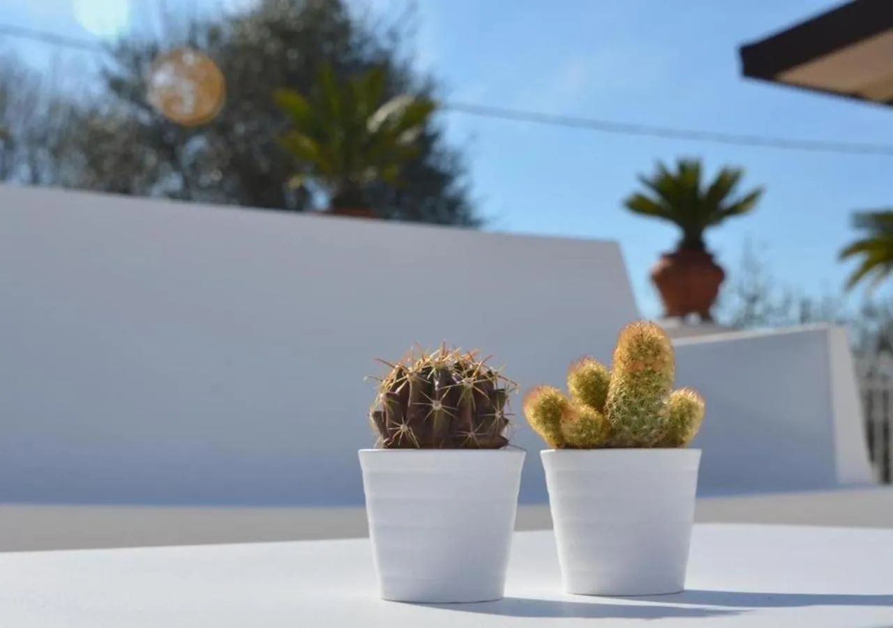 Day in Residence Le Terrazze