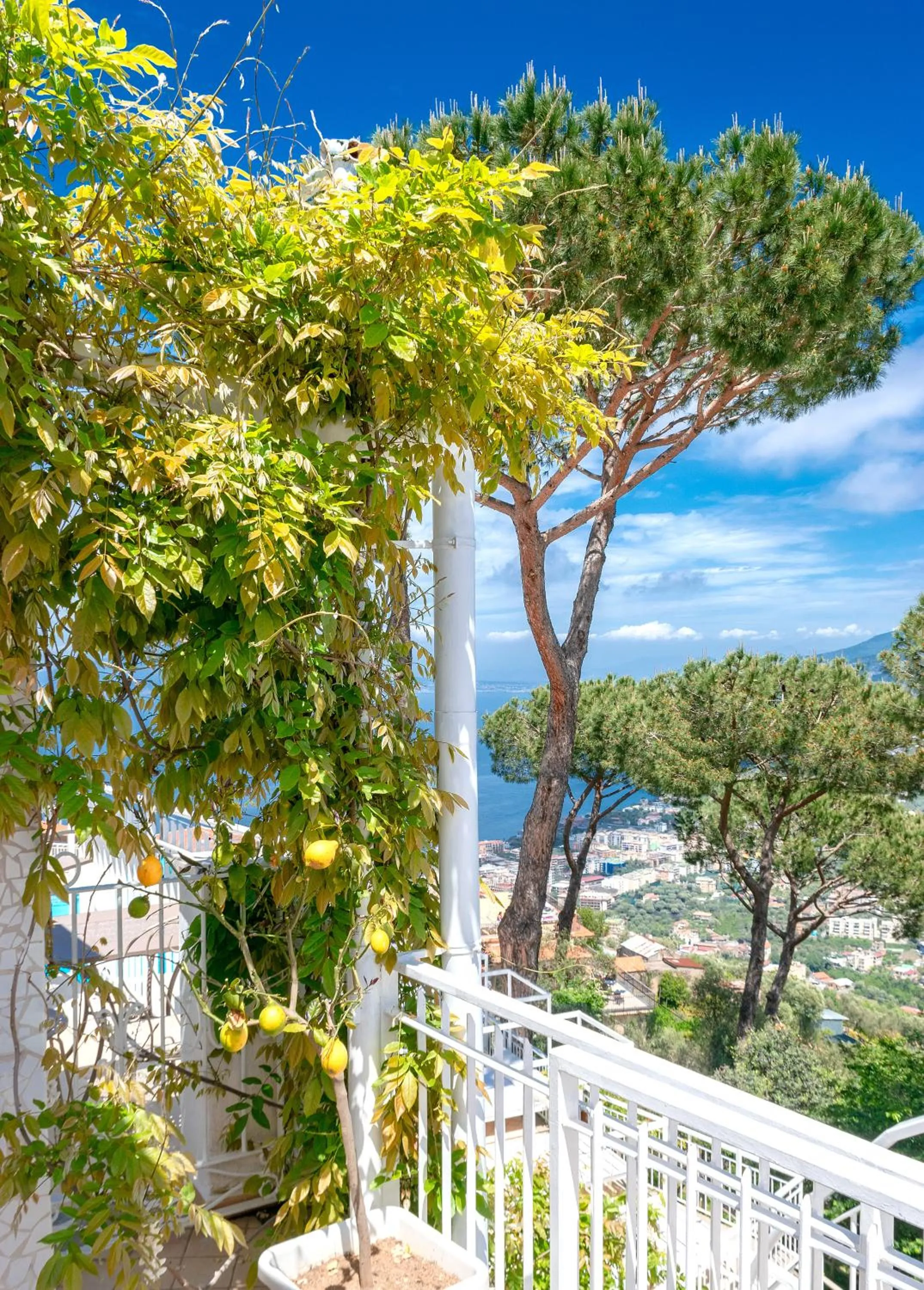 Day in Residence Le Terrazze