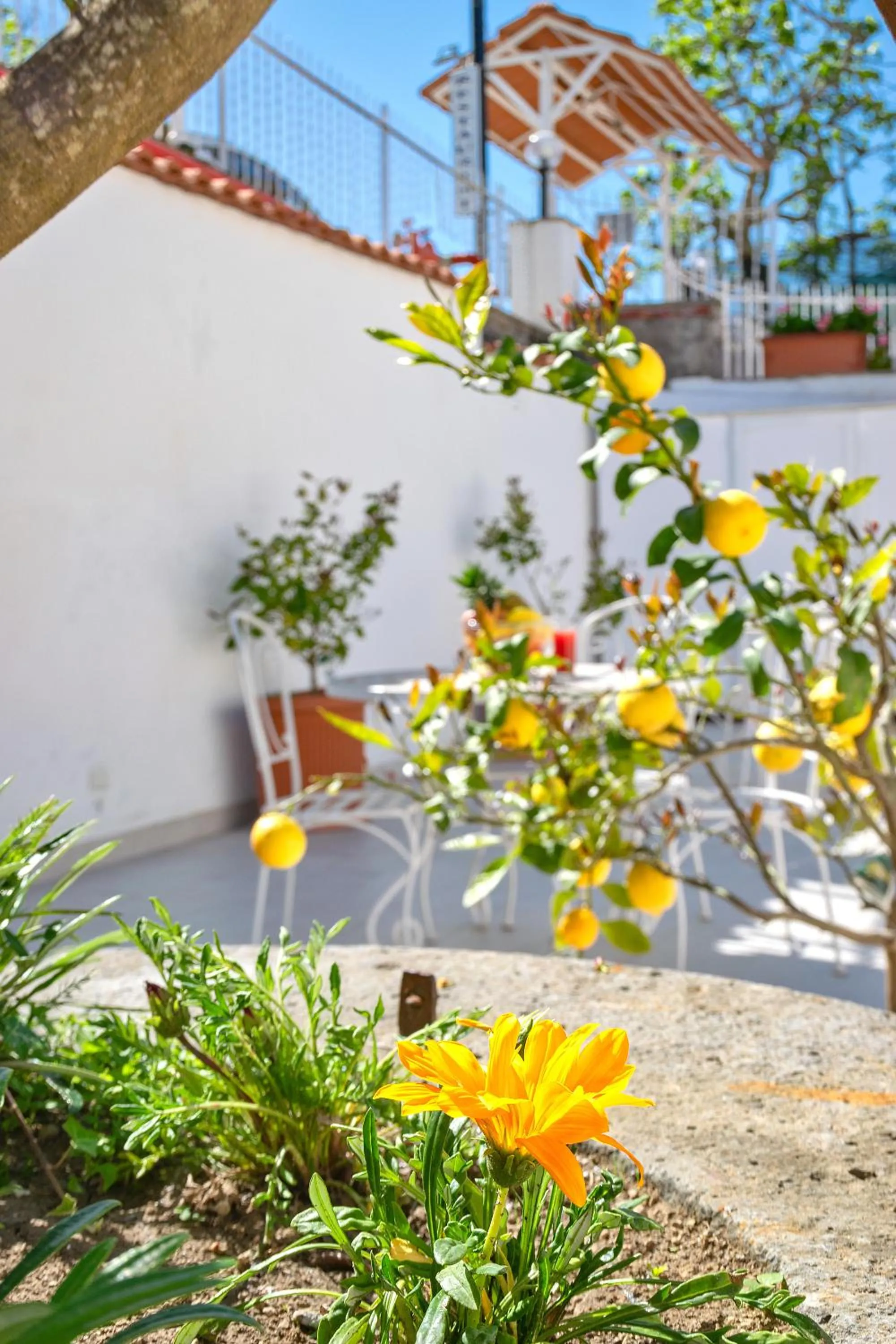 Spring in Residence Le Terrazze