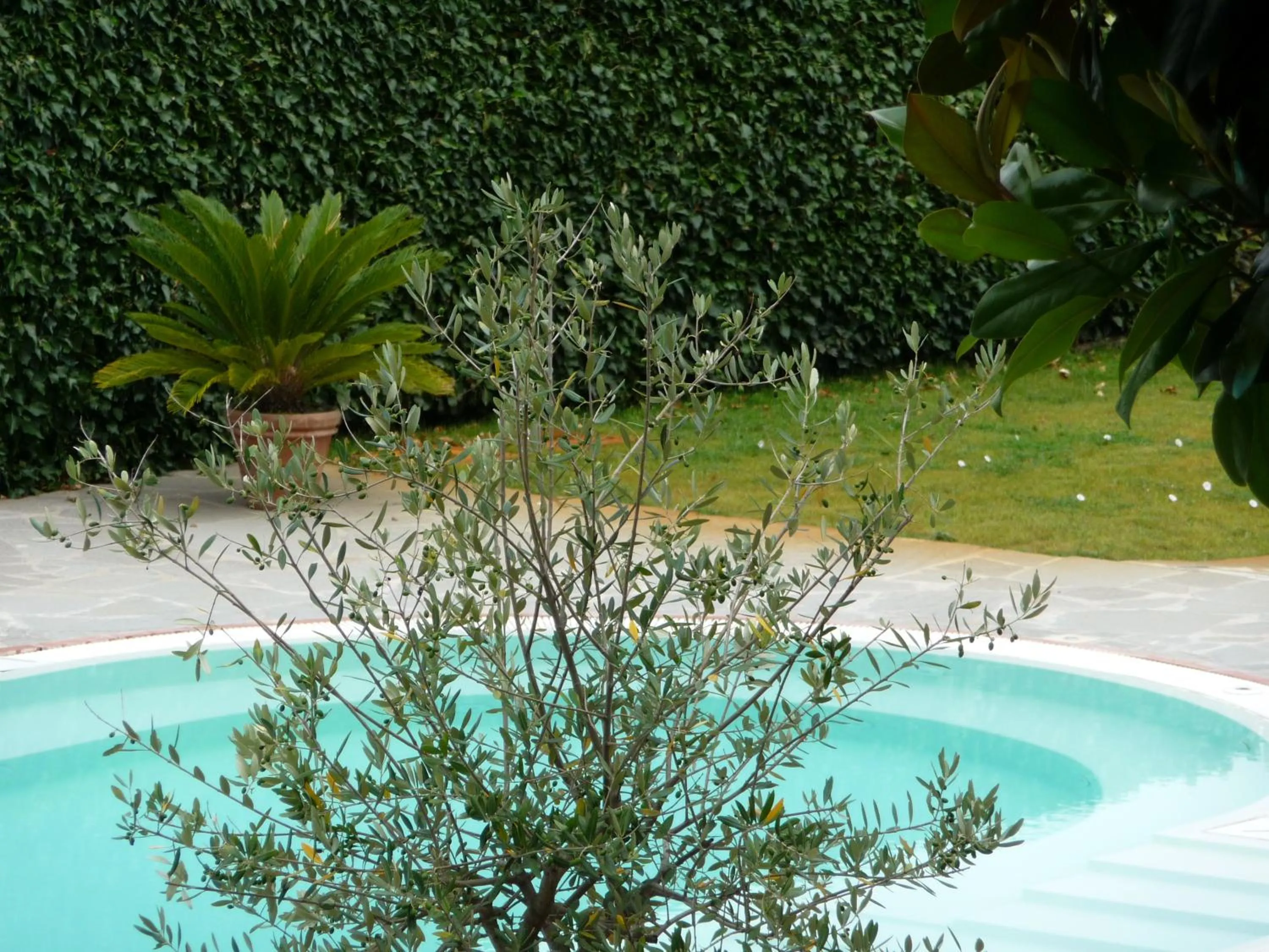 Garden in Hotel Villa Dei Bosconi