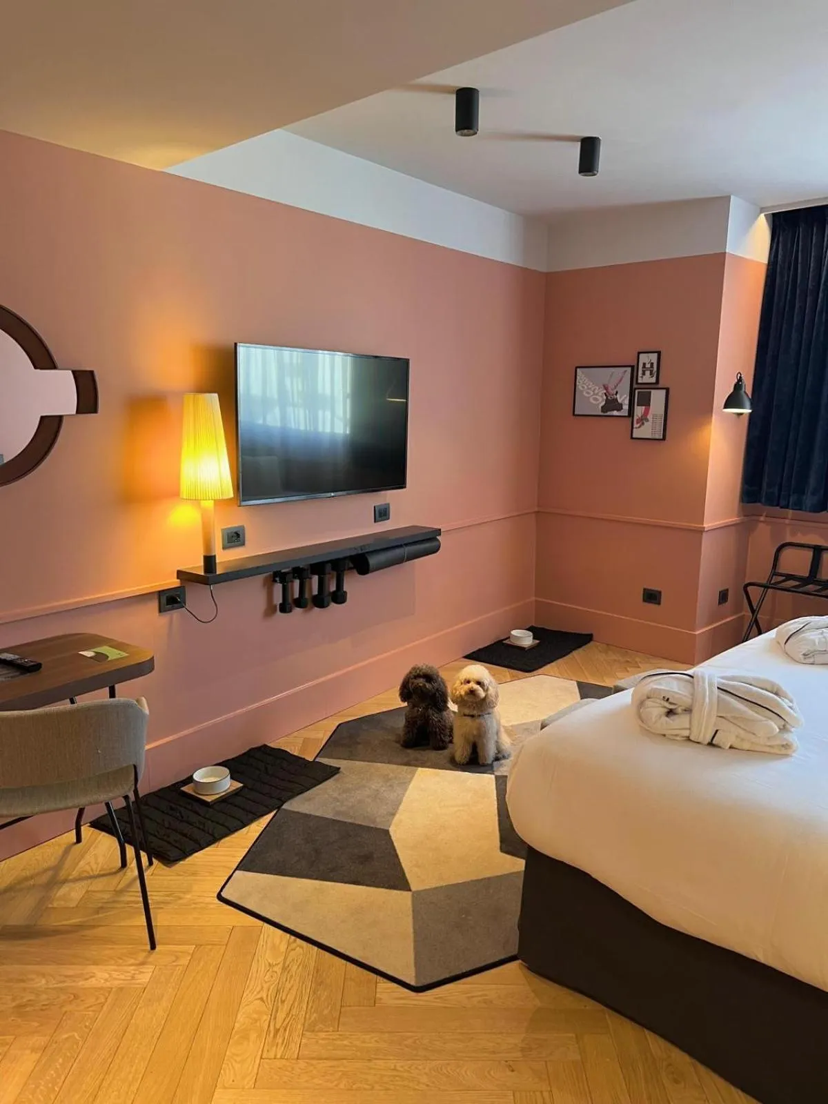 Animals, Bed in Urban Hive Milano