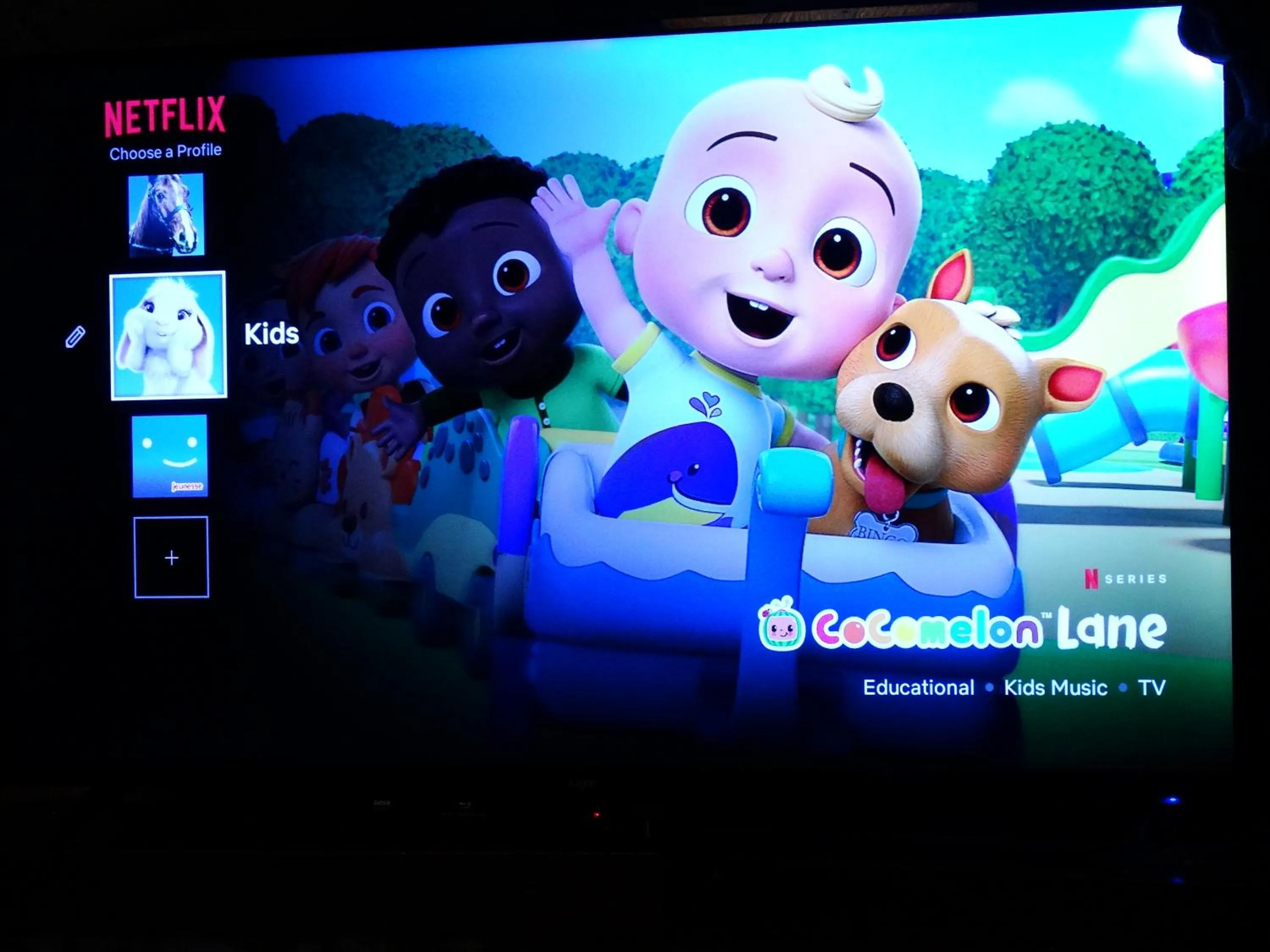 TV and multimedia in Di's Dugouts