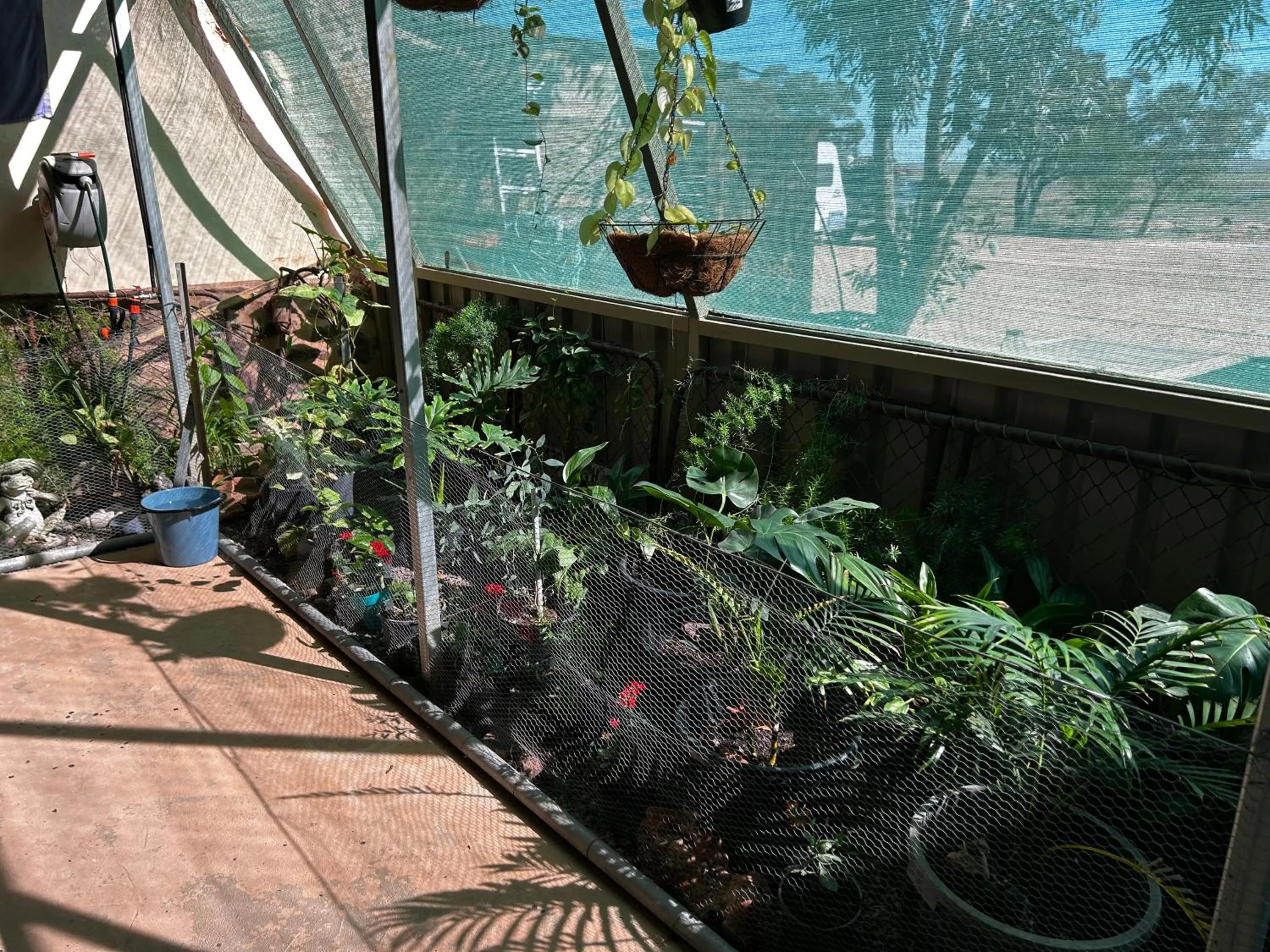 Garden in Di's Dugouts