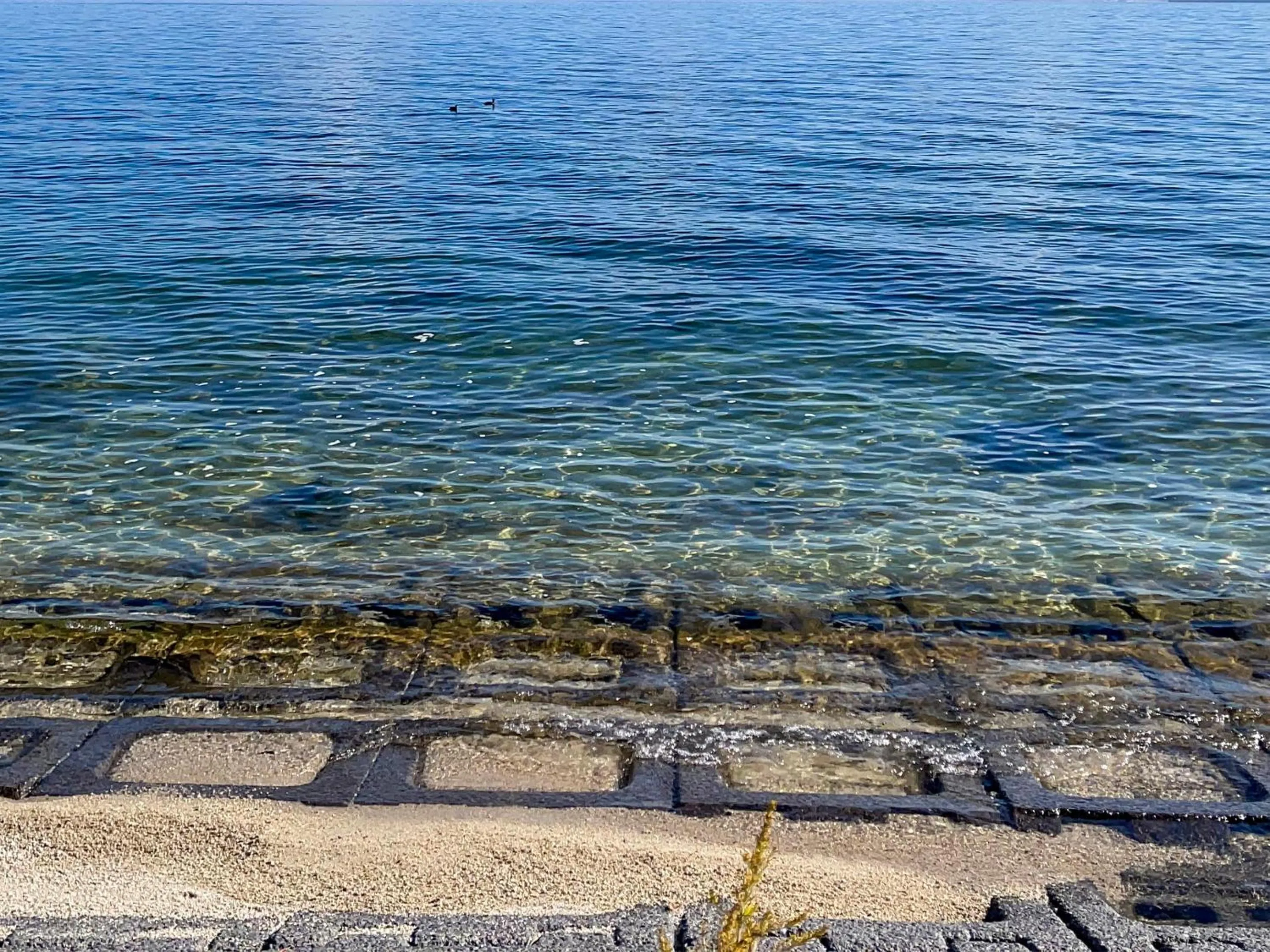 Natural landscape in Biwa-Lakeside Cottage B B Dylan