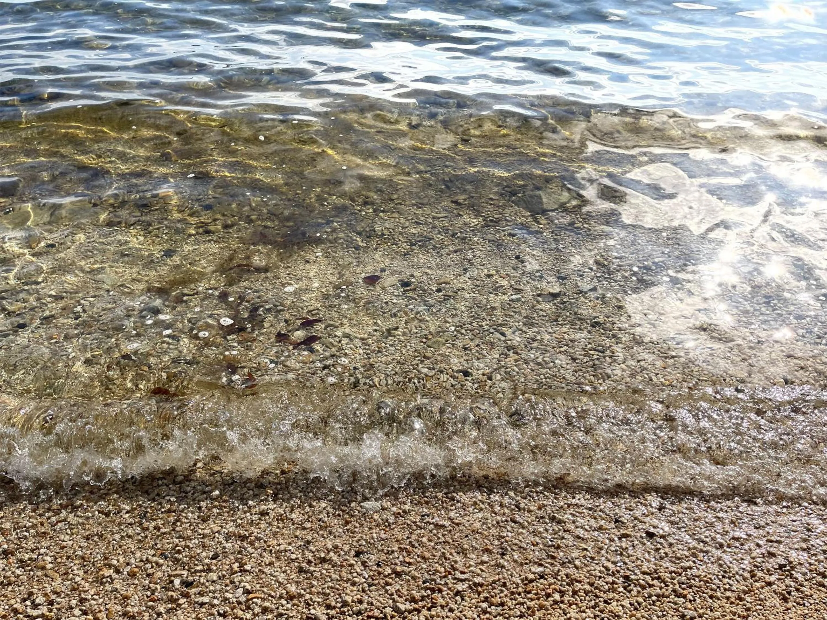 Natural landscape in Biwa-Lakeside Cottage B B Dylan