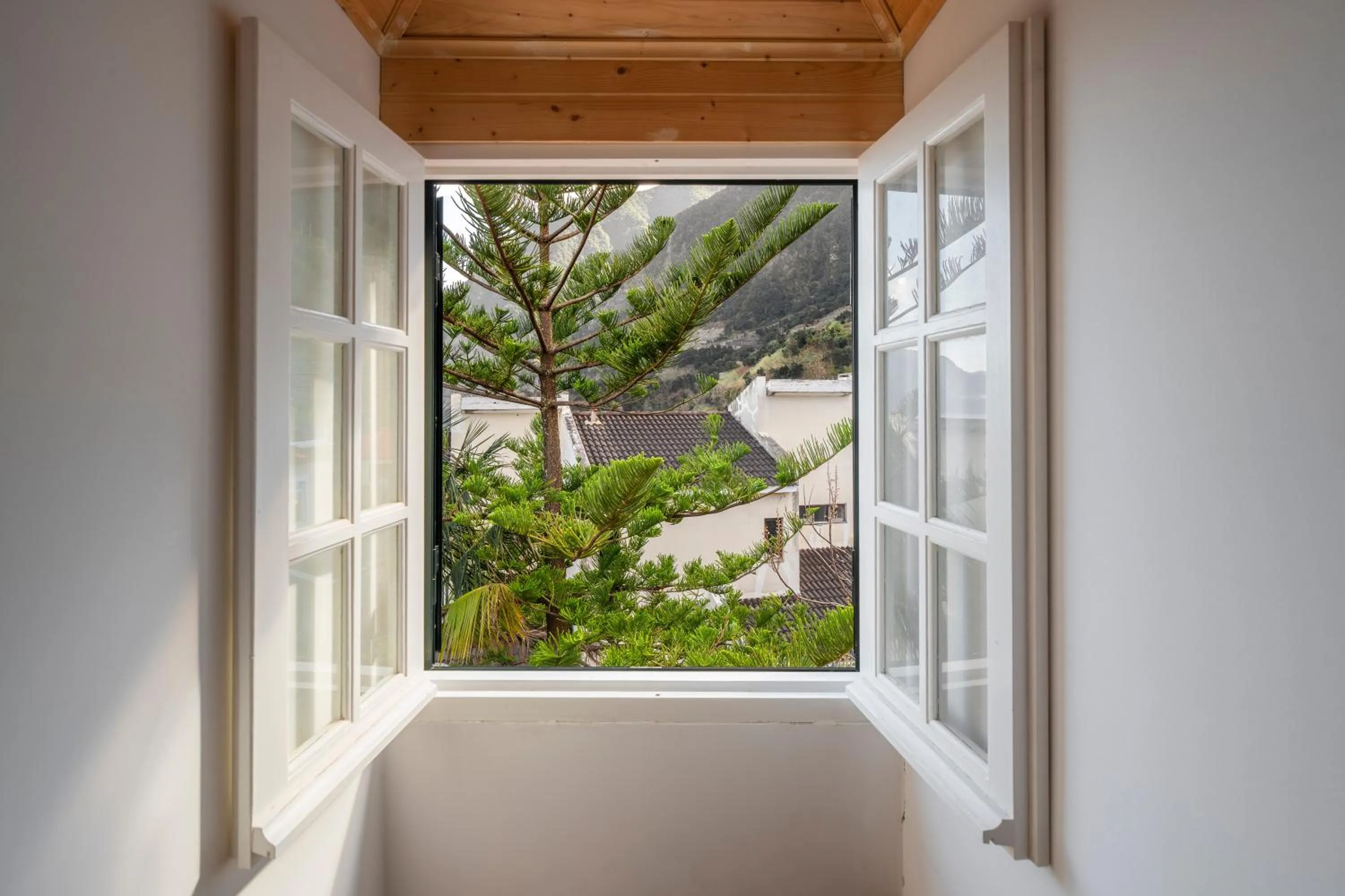 Natural landscape in Casa Das Videiras