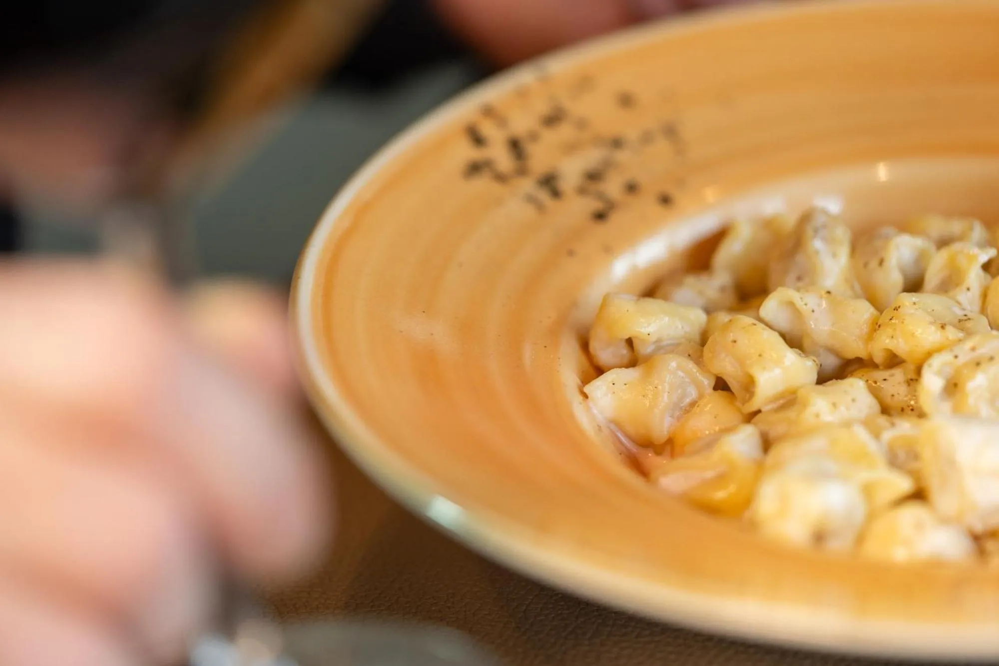 Food and drinks in Club del Sole Bologna Easy Camping Village