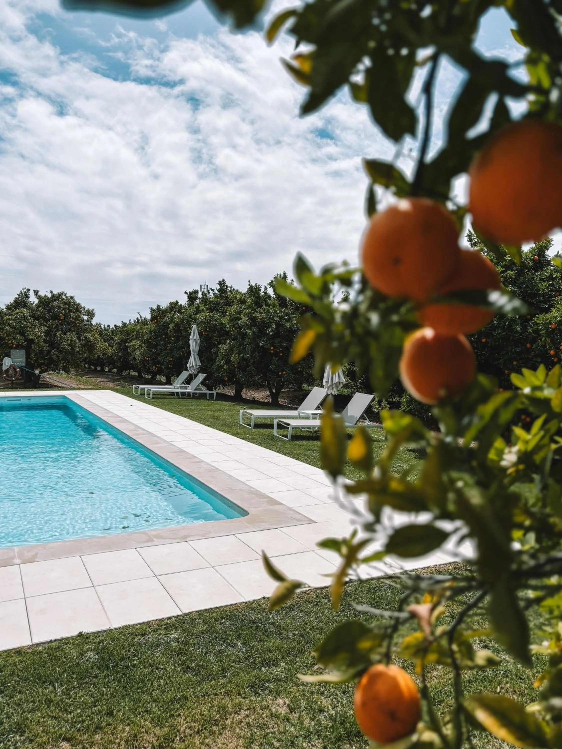Swimming pool in Quinta Dos Perfumes