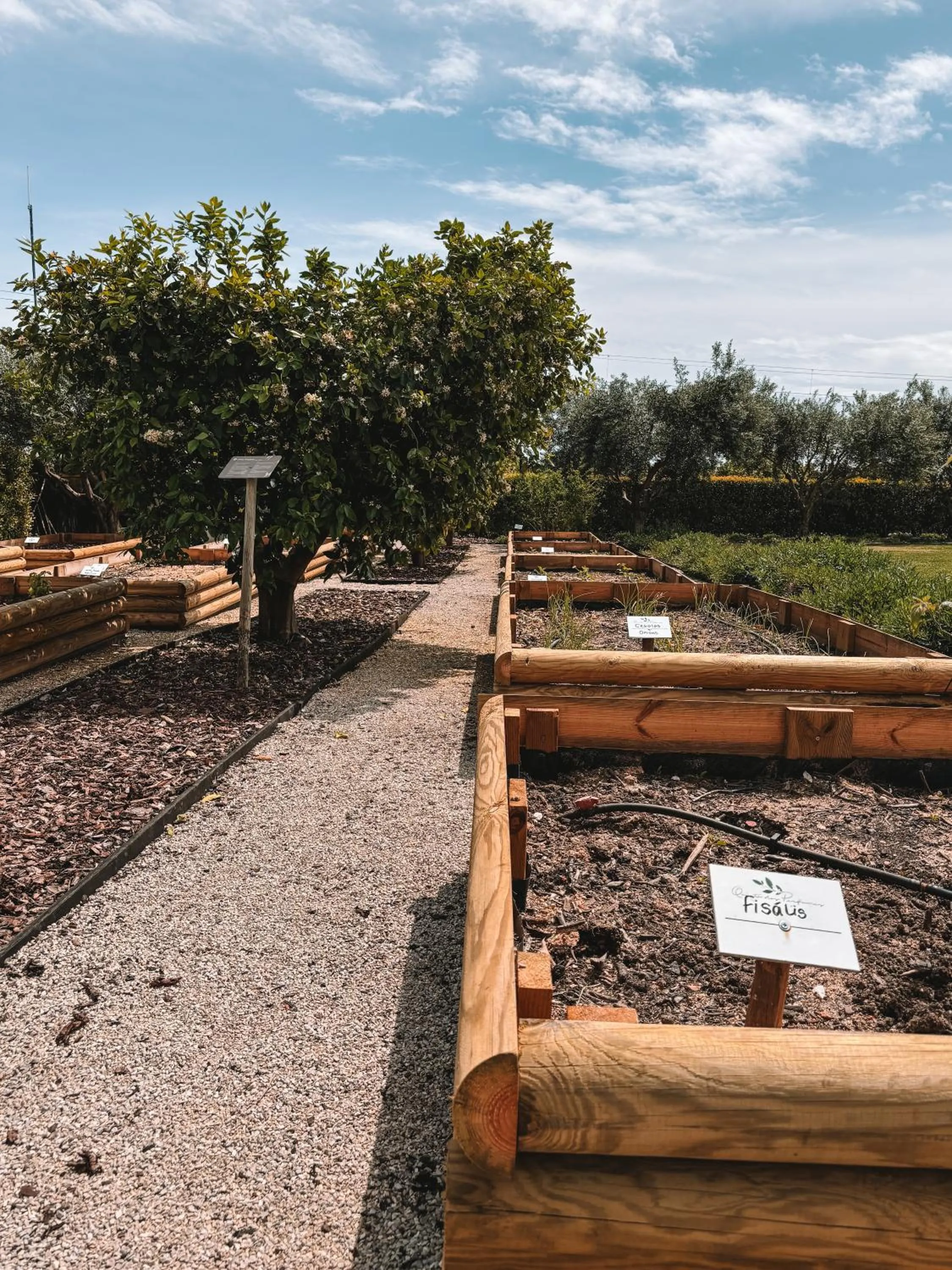 Garden in Quinta Dos Perfumes