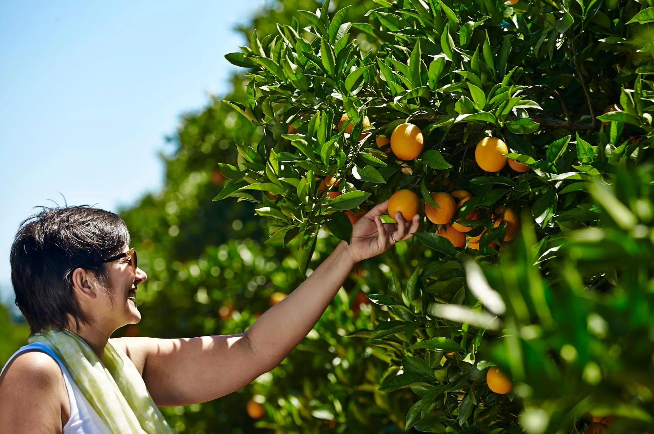 Garden in Quinta Dos Perfumes