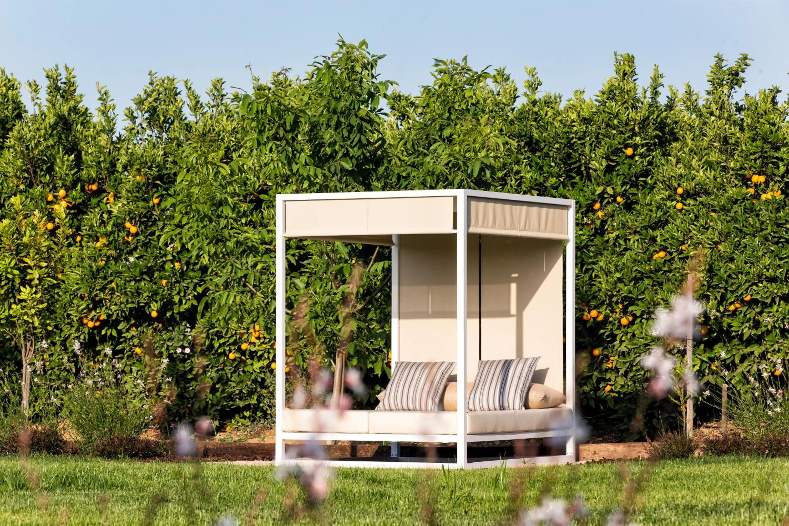 Off site in Quinta Dos Perfumes