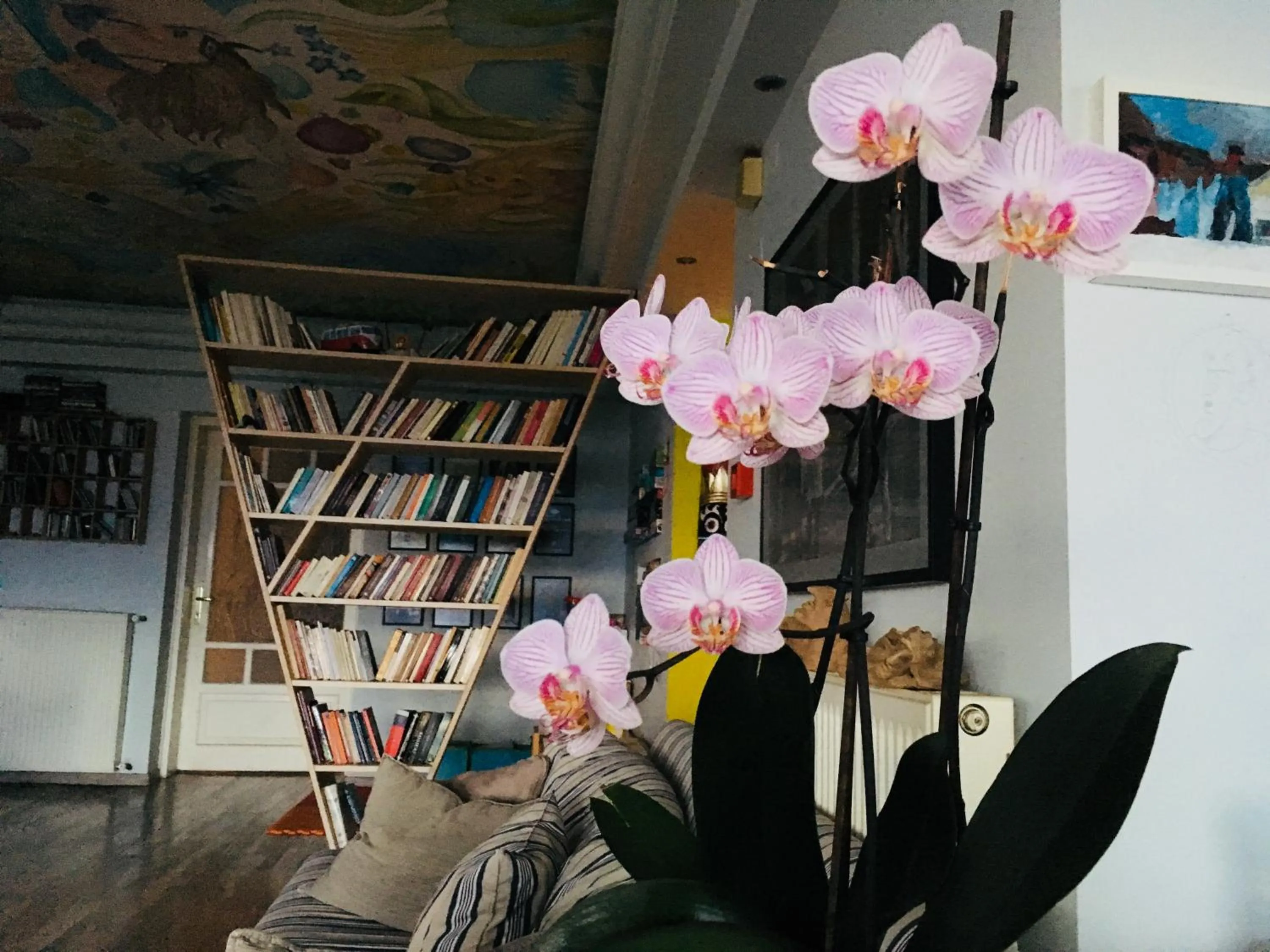 Library in Guesthouse Vissinokipos - Biker Friendly - Motorradhotel